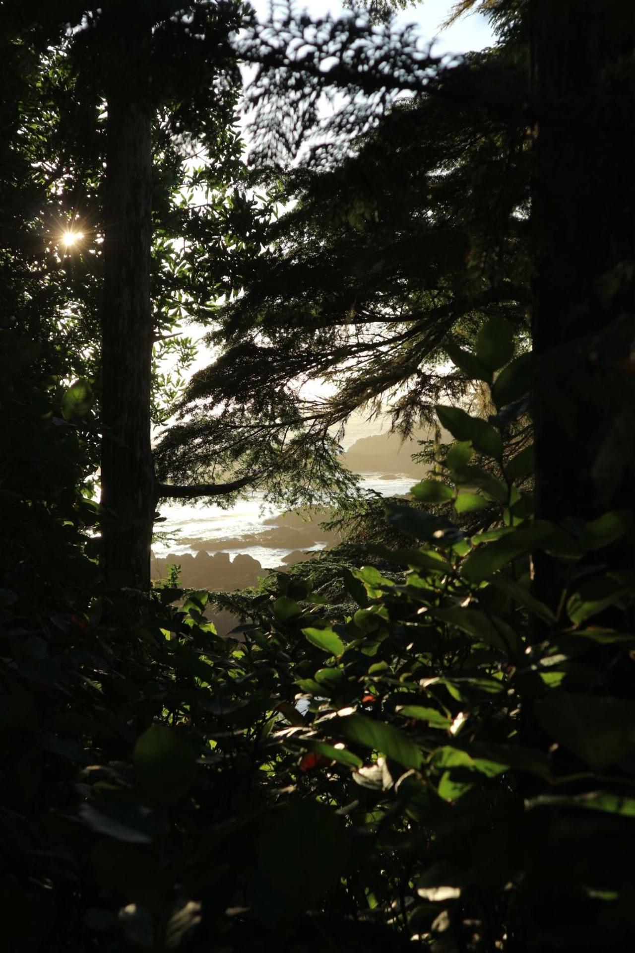 Le Chalet Waterfront Retreat