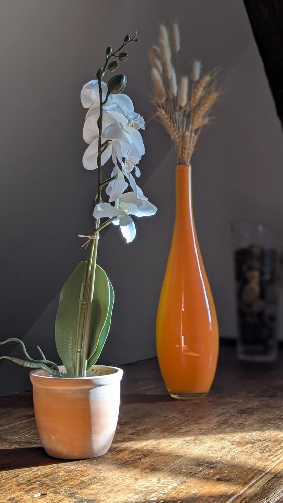 Les Perles du Ried - Gîte 202