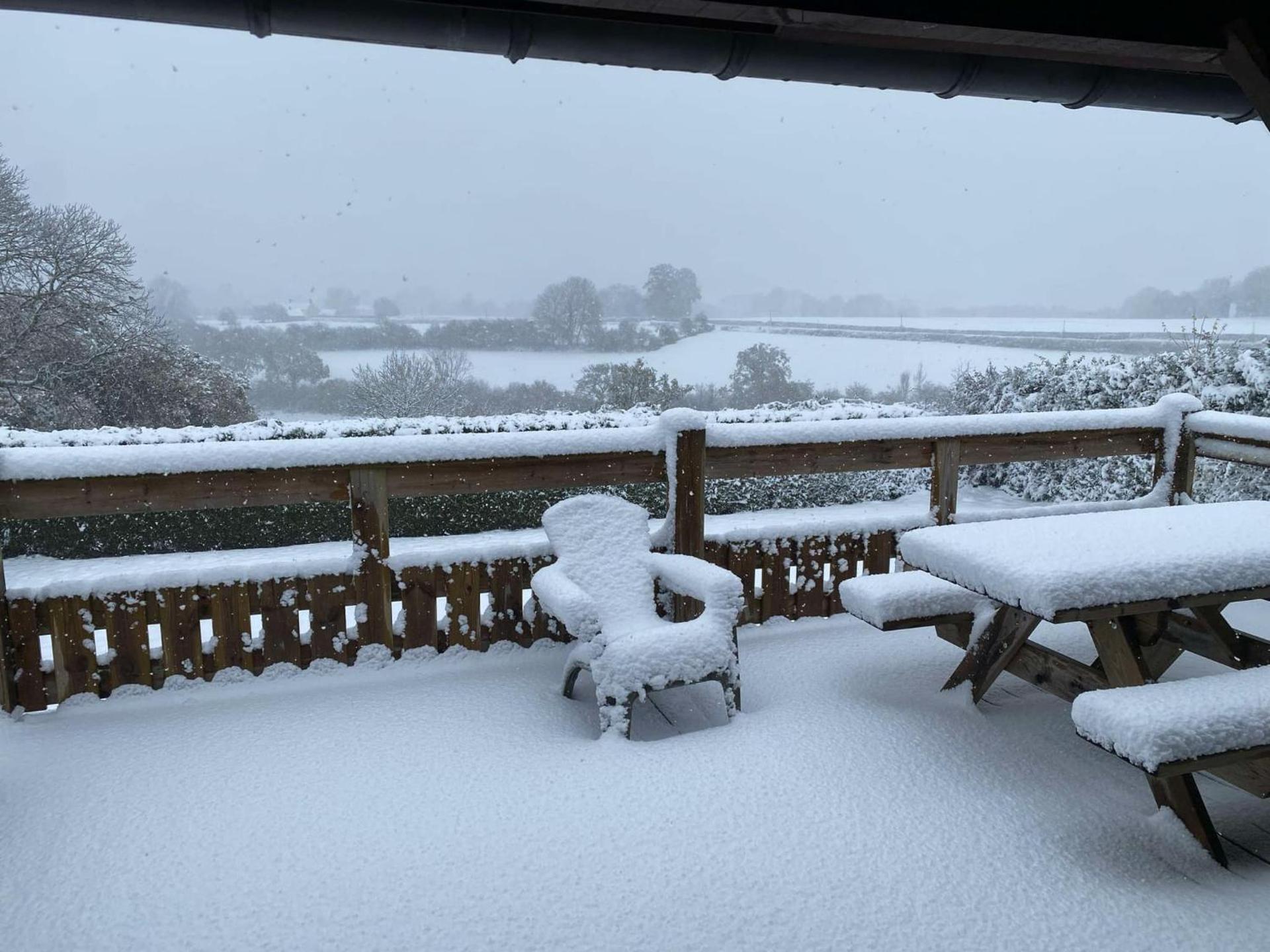 la cabane des druides
