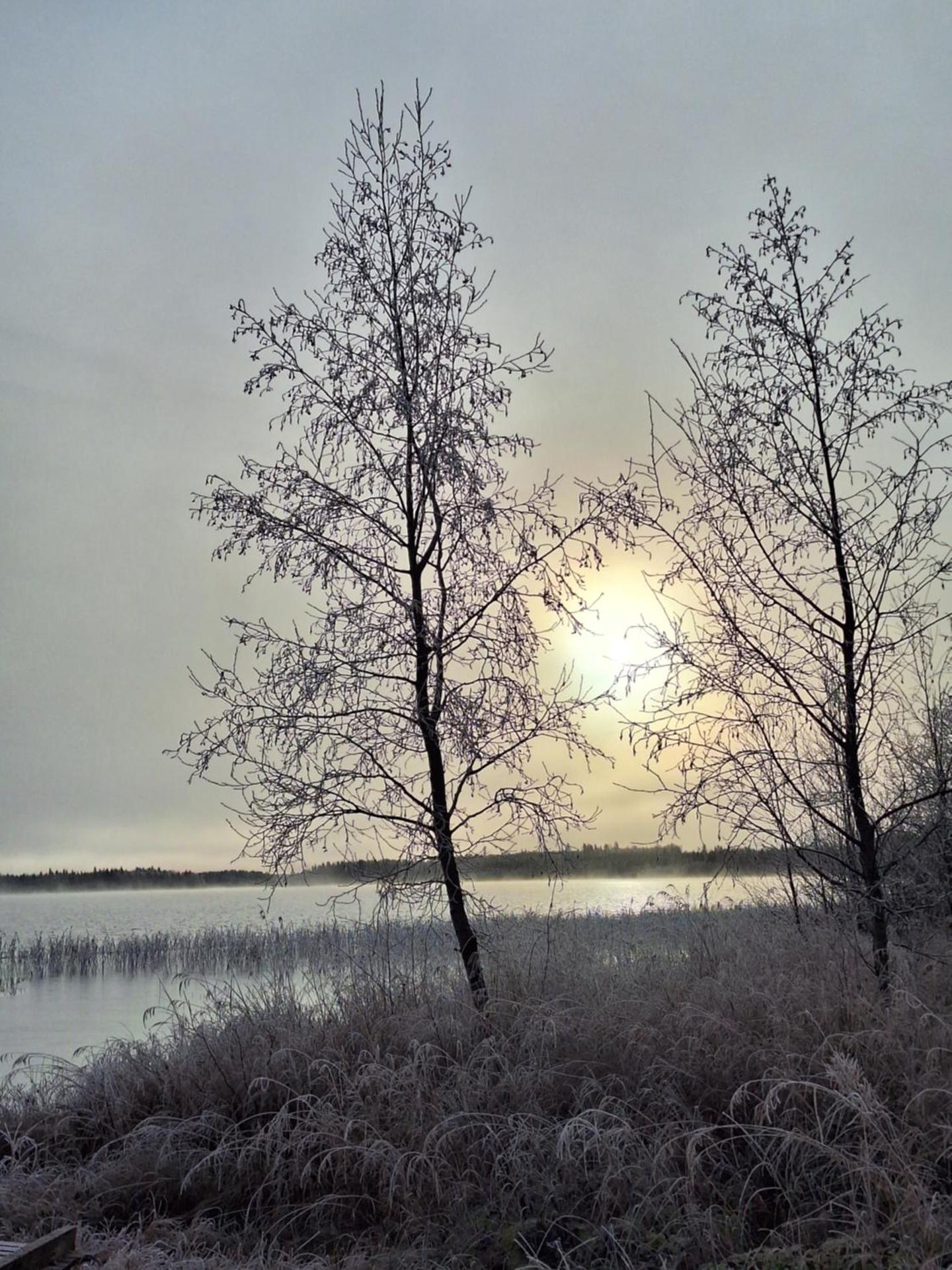 Kuikkaniemen Rantamökki
