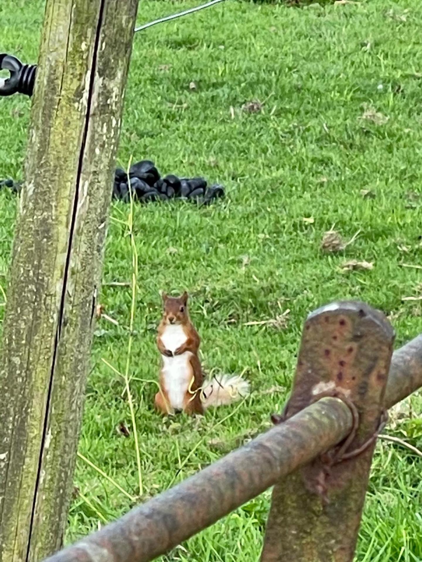 1-Bed studio Apartment nr Cockermouth