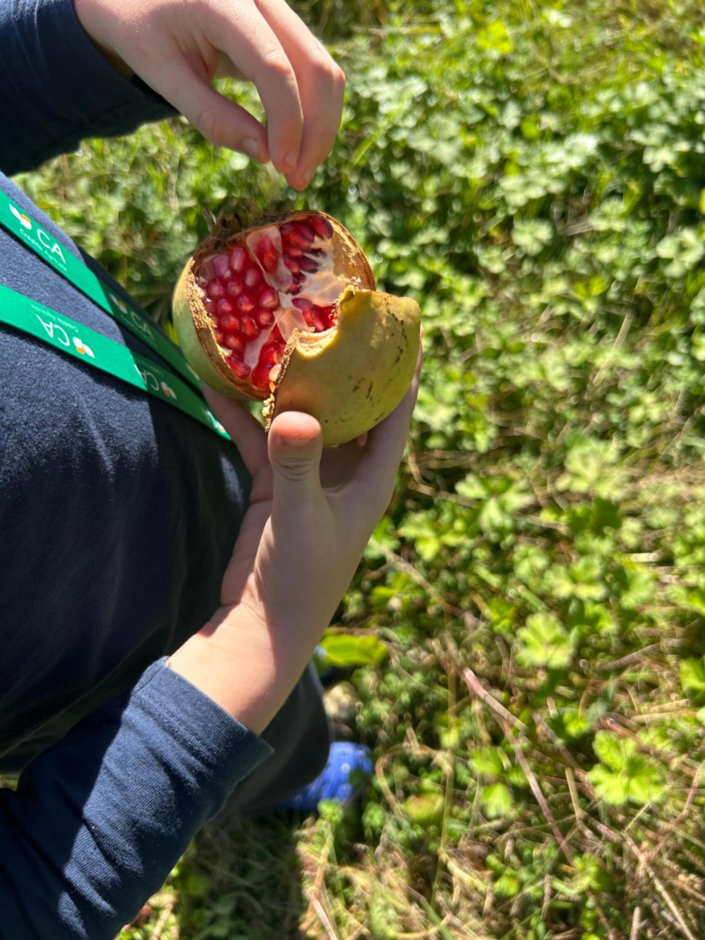 Casa Do Refugio Guest House