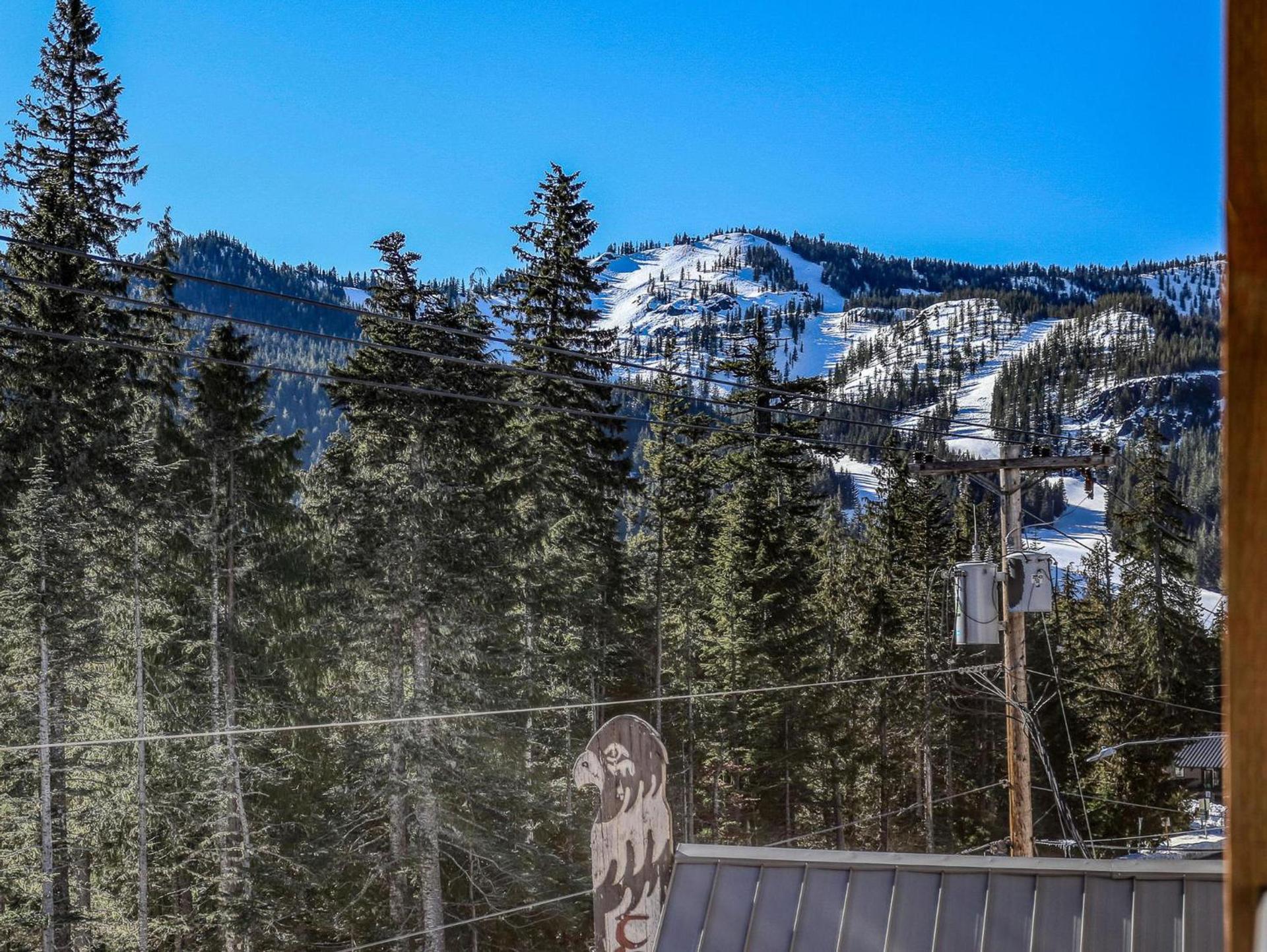 Thunderhead Lodge #301 - Meredith Lodging