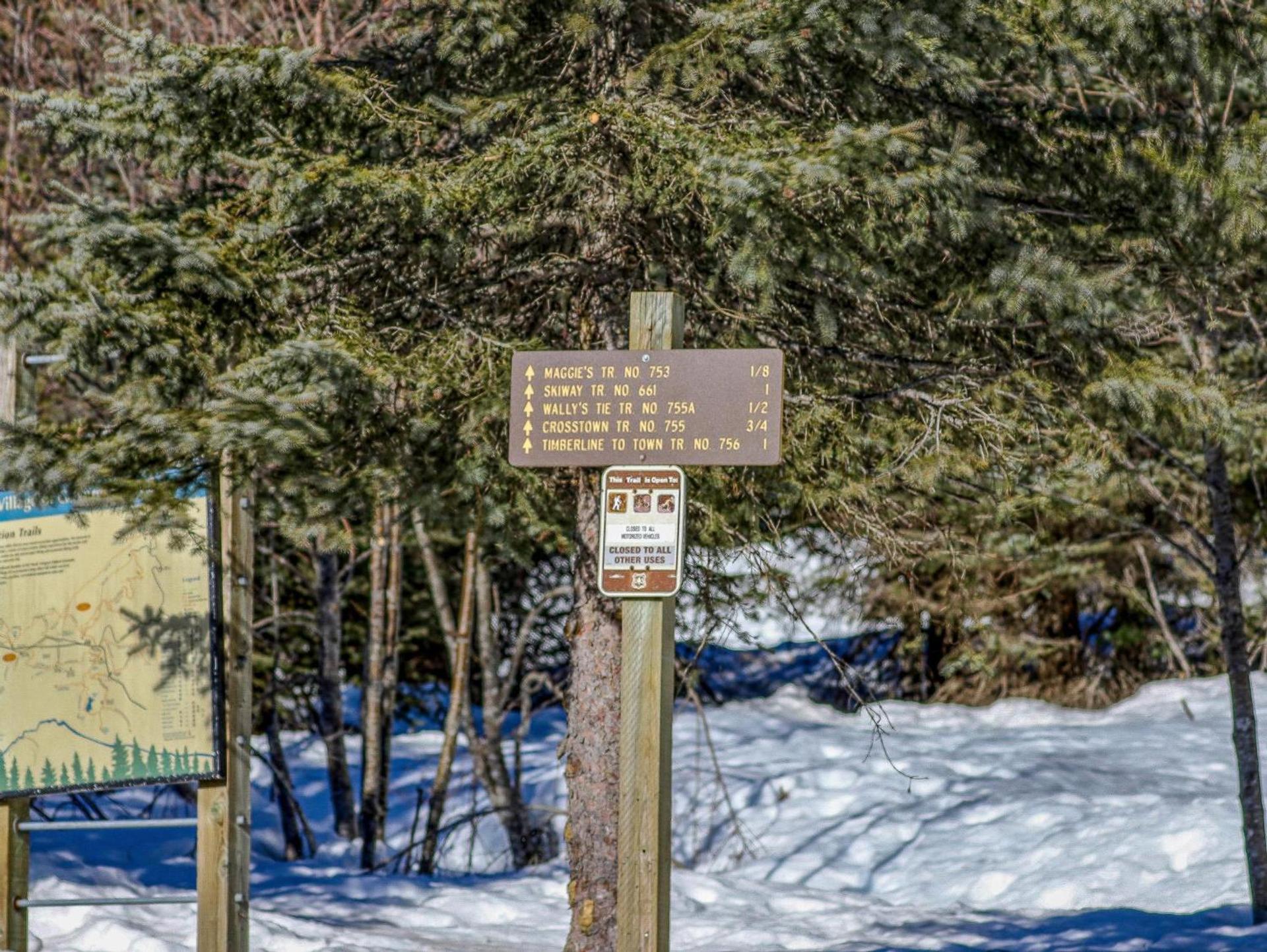 Thunderhead Lodge #301 - Meredith Lodging