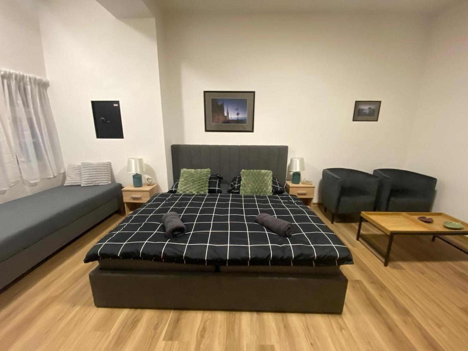 Deluxe One-Bedroom Apartment with City View