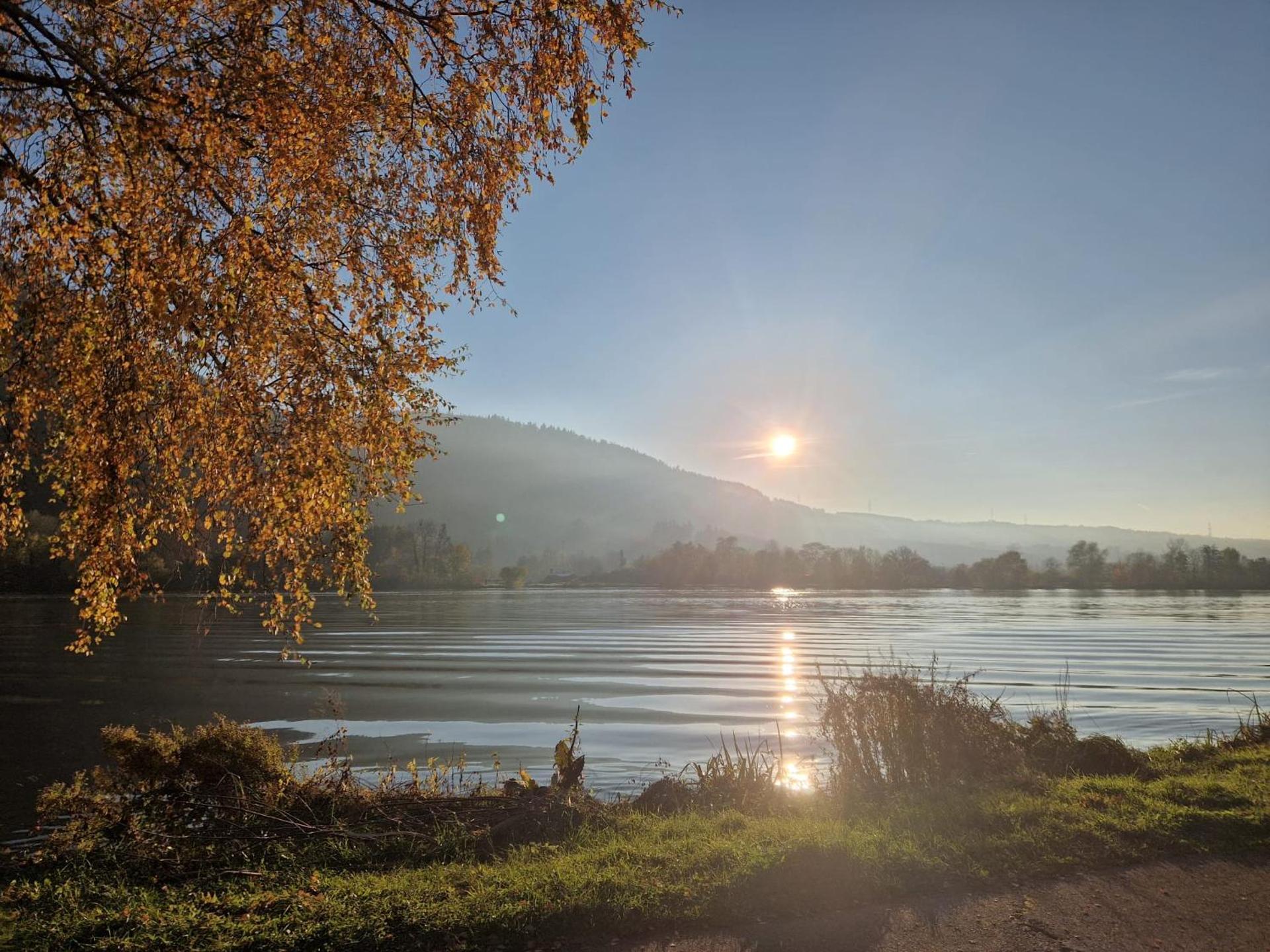 Ferienwohnungen am Moselbeach