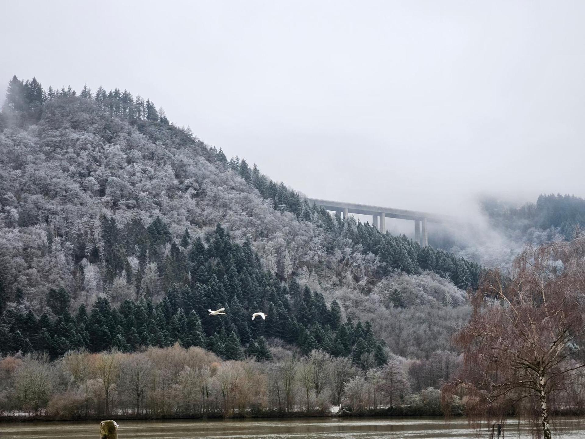 Ferienwohnungen am Moselbeach