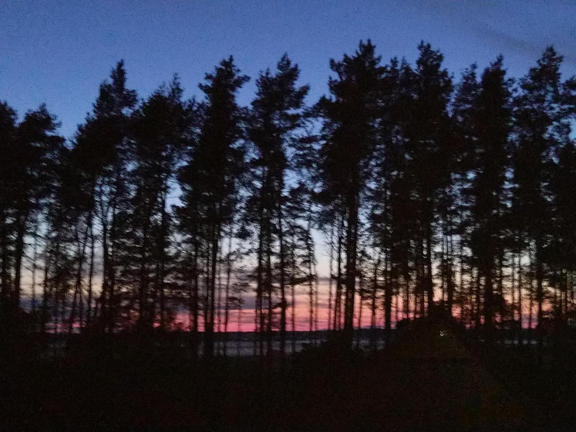 Sea the Blue Garden SPA Odargowo