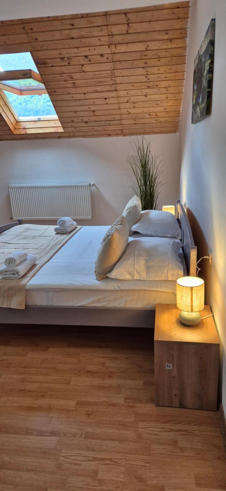 Rare Forest Retreat & Spa