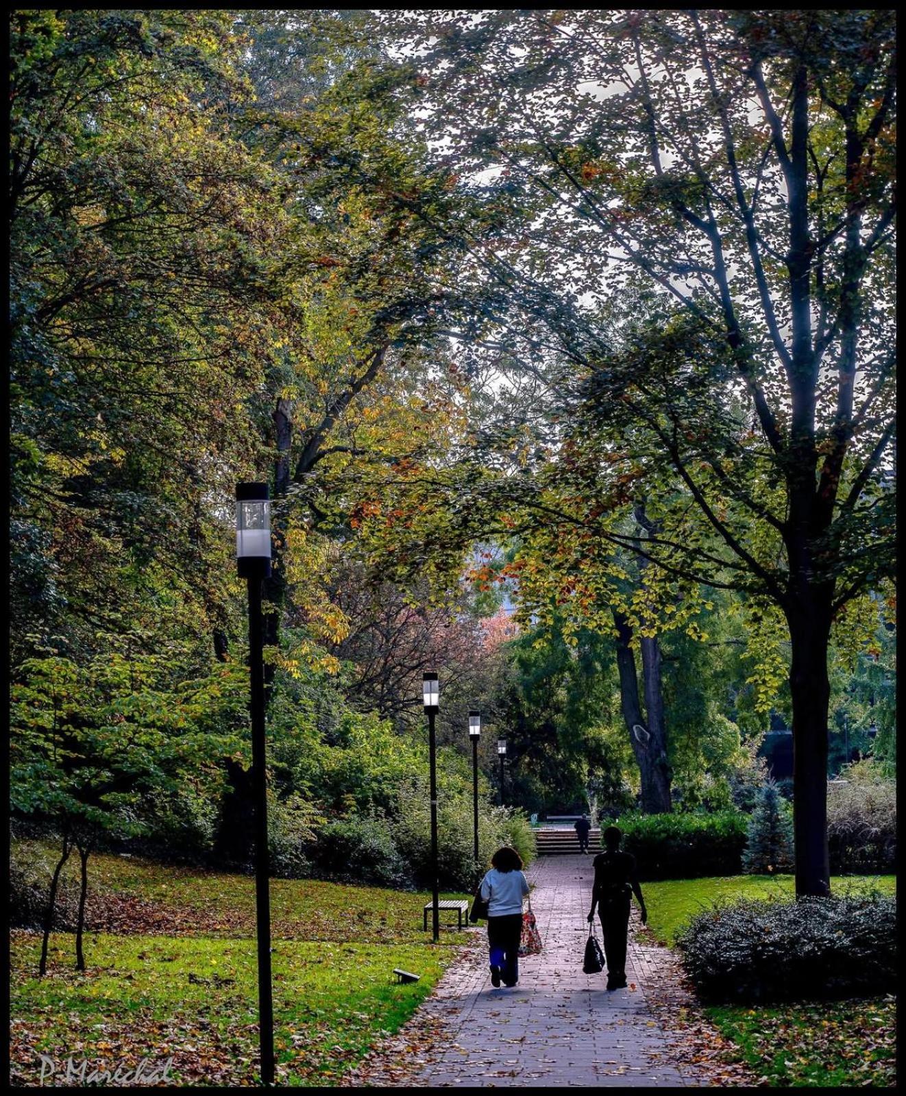 Loft Royal des Promenades