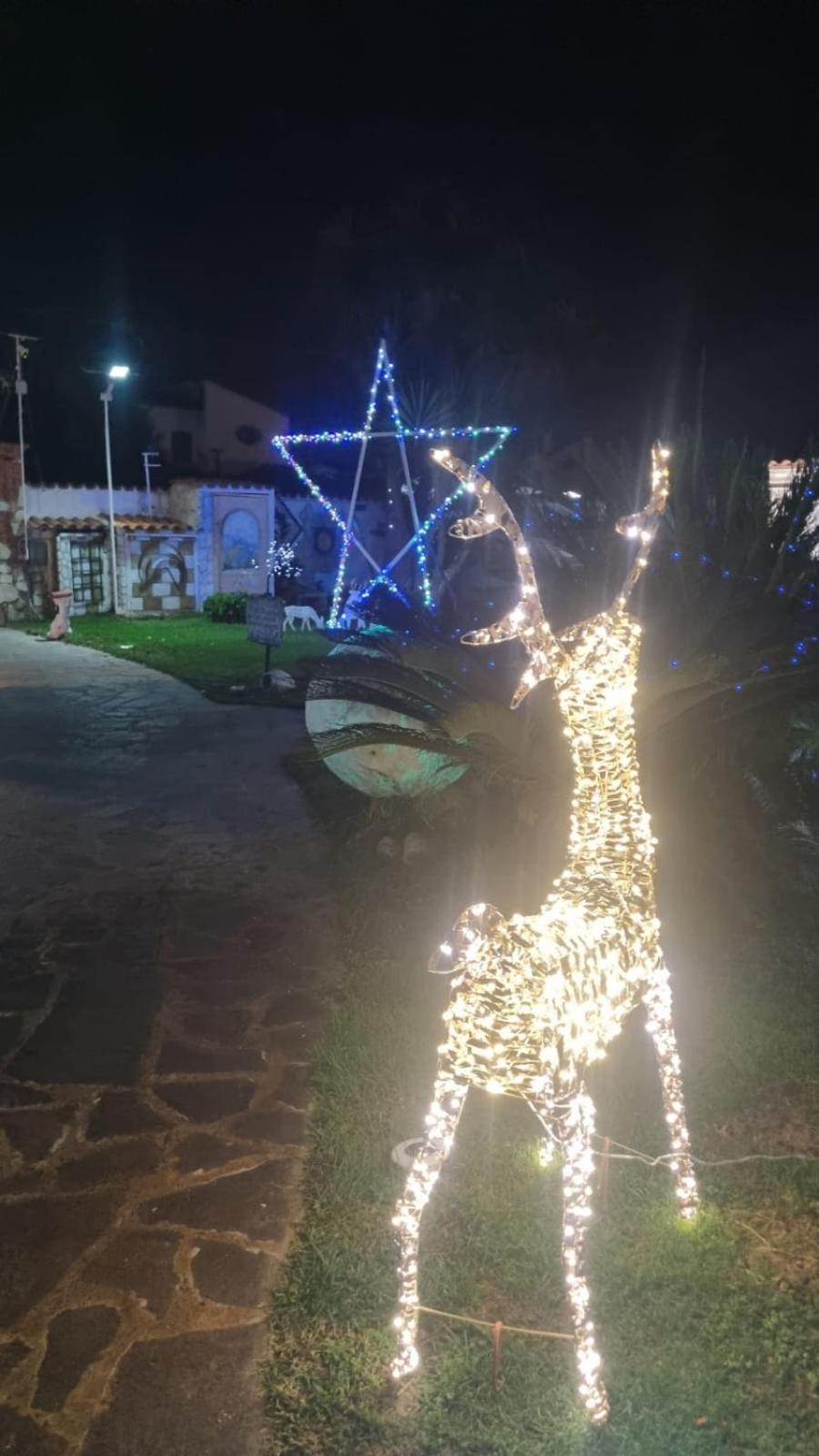 La casa dell'artista