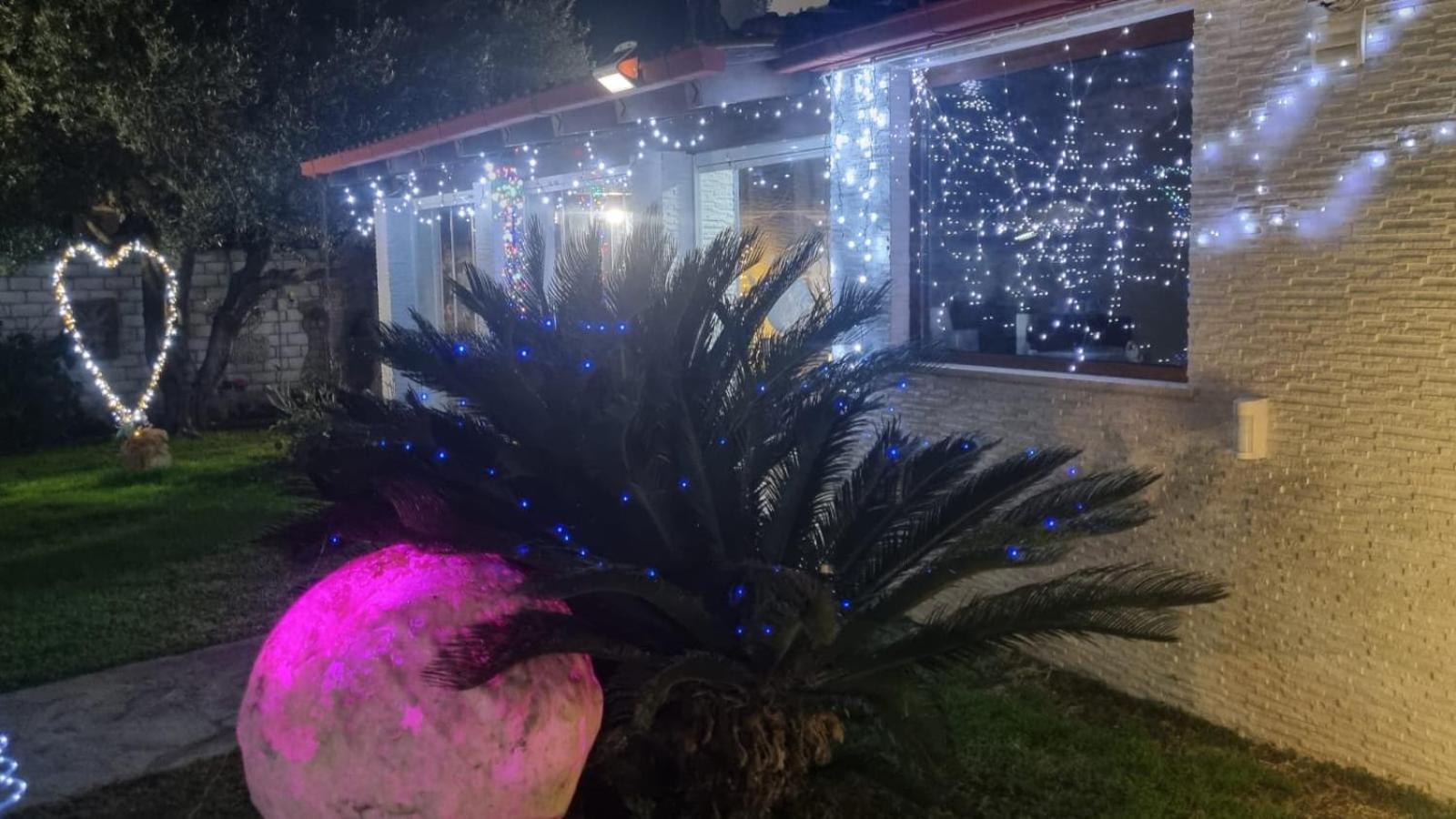 La casa dell'artista