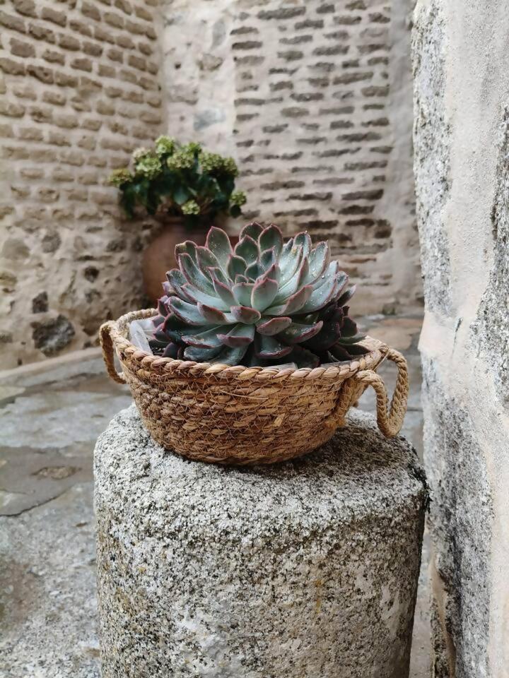 Inner courtyard view