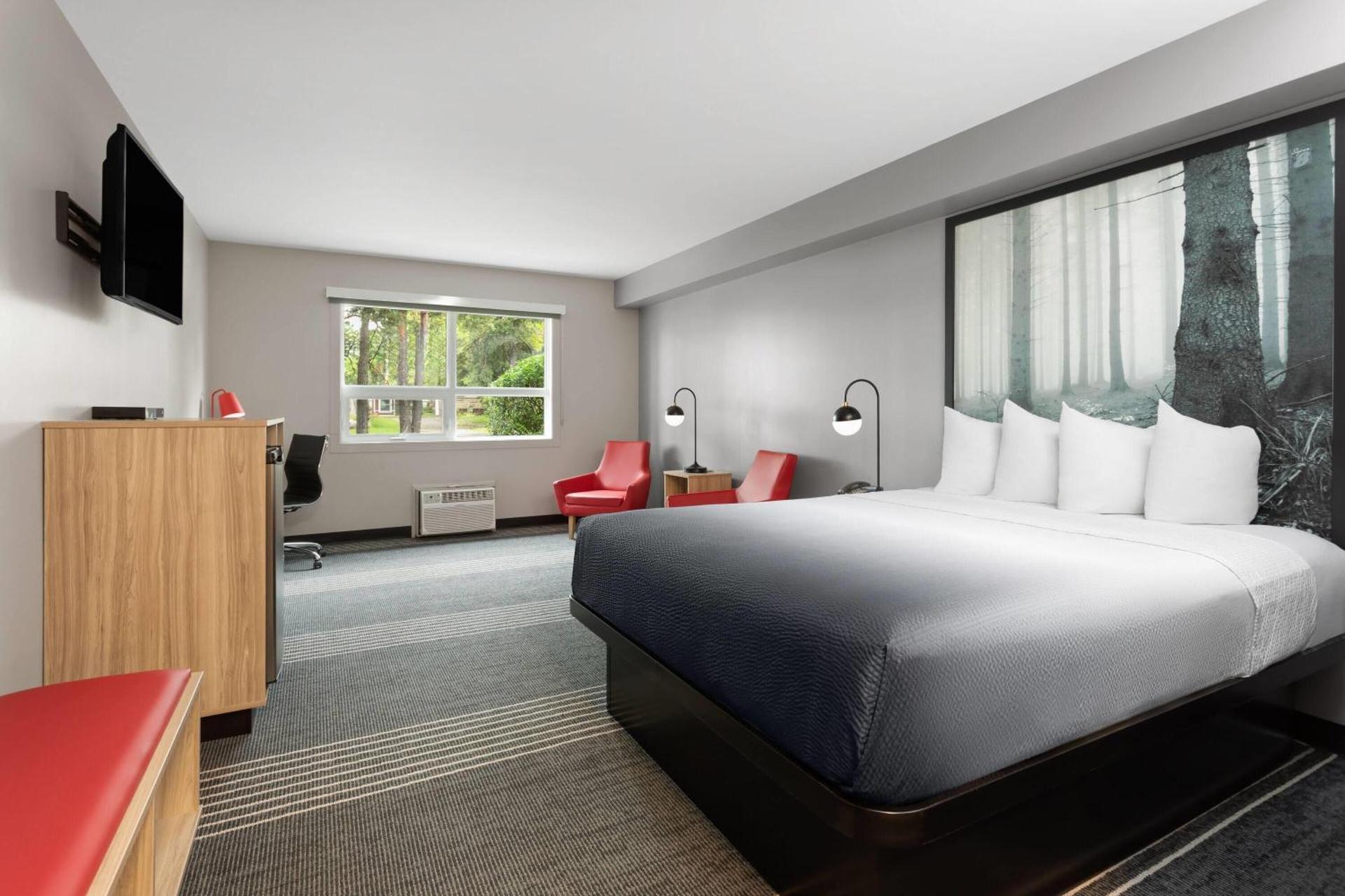 Photo of the whole room