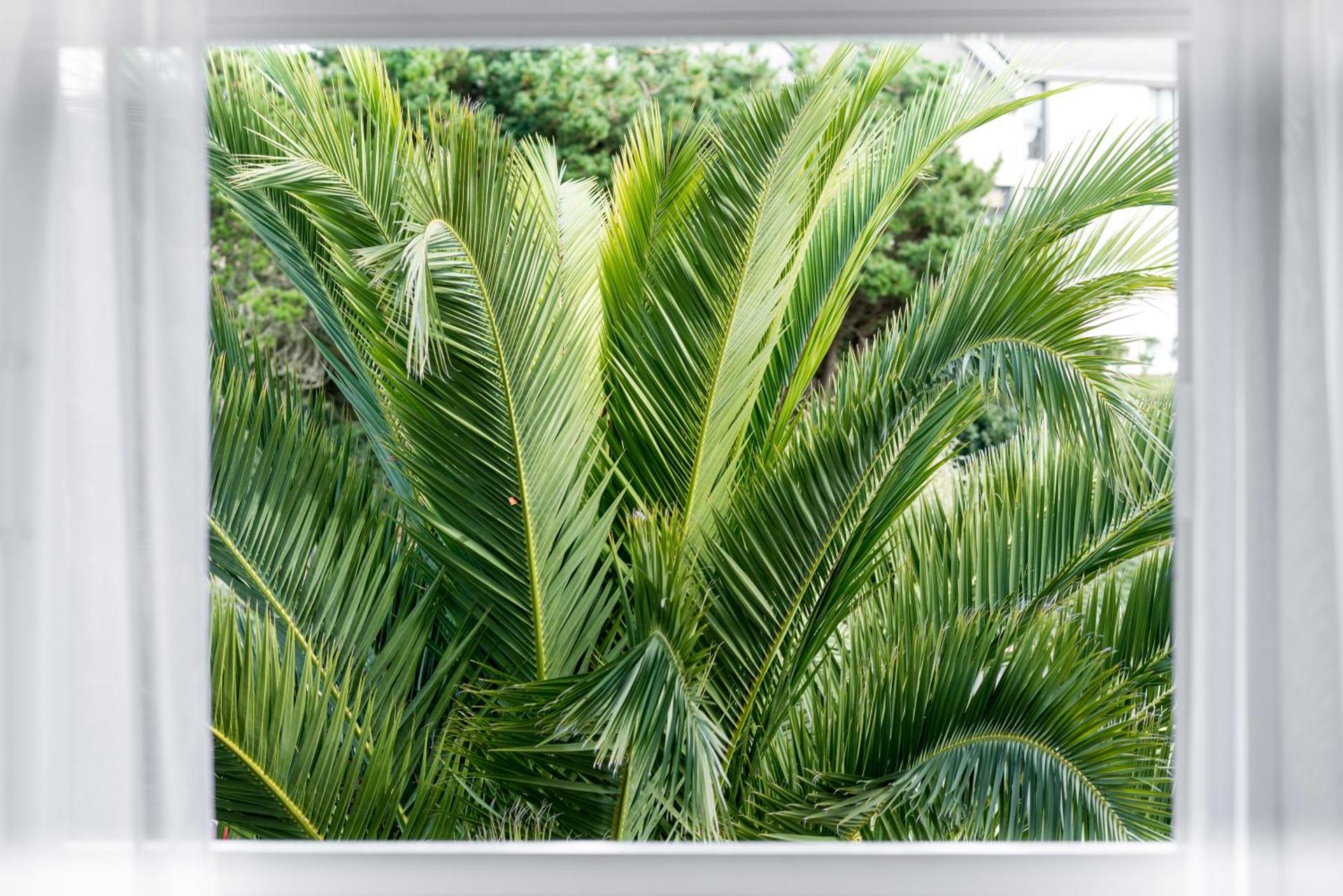 Twin Room with City View