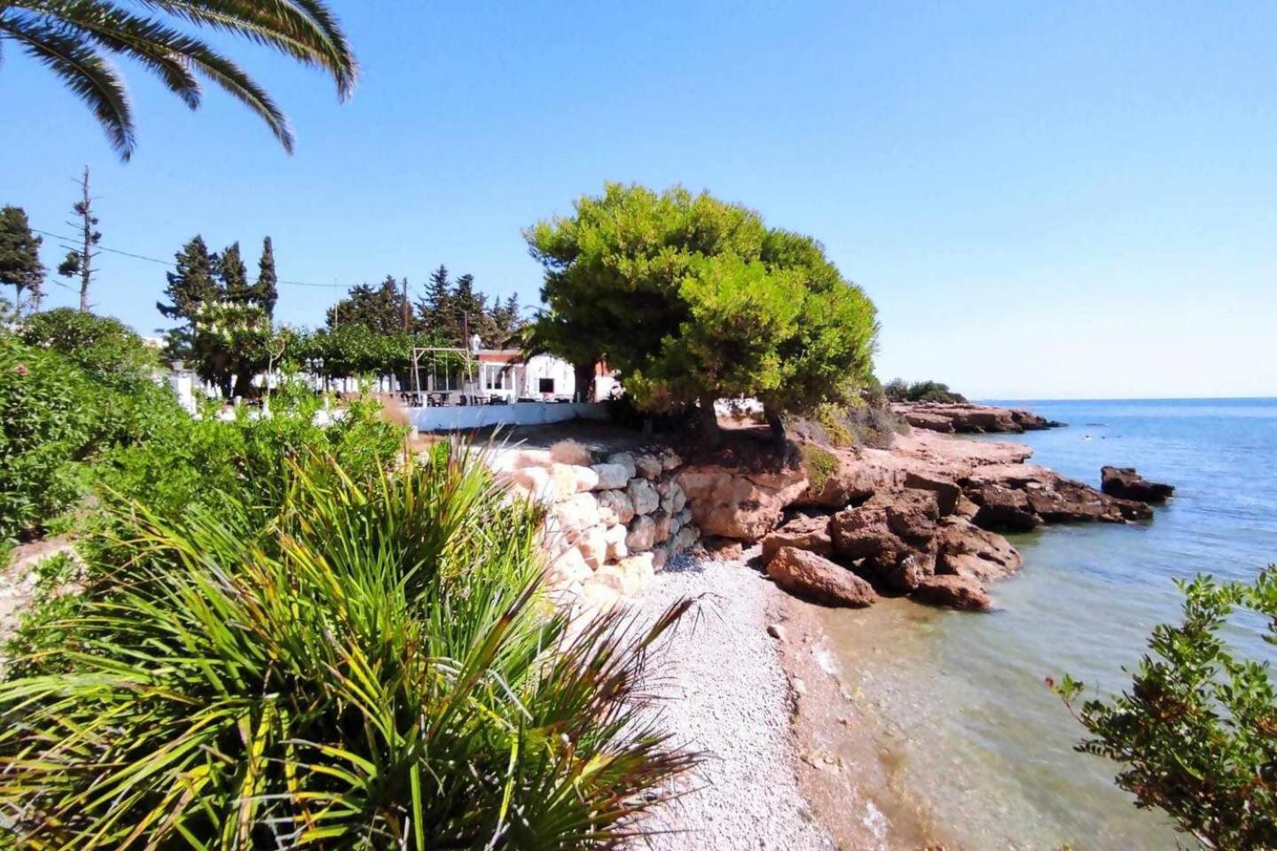 Bella Palace, Apartamento acogedor junto al mar