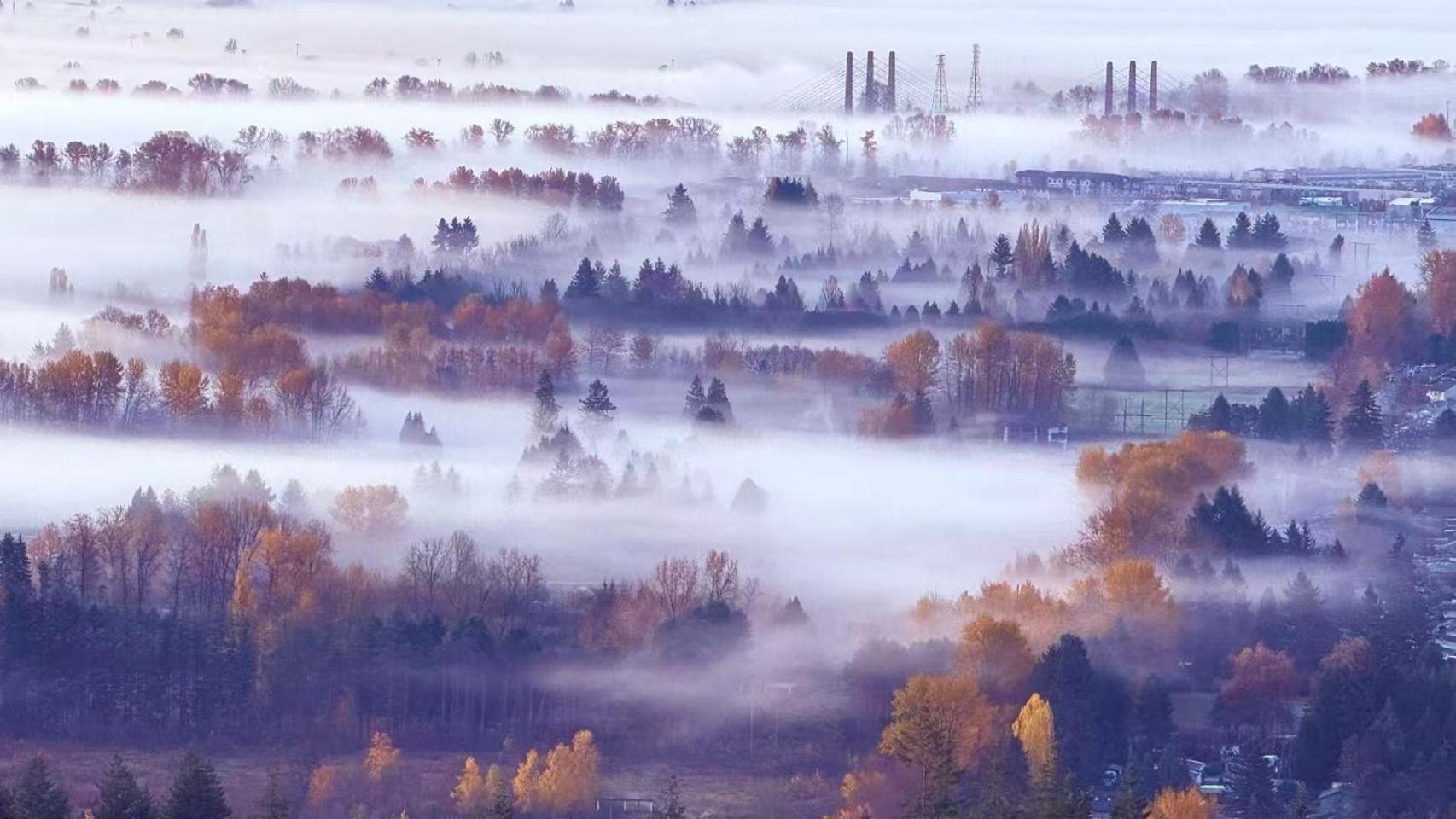 安静社区主楼层豪华主卧套房&独立浴室浴缸