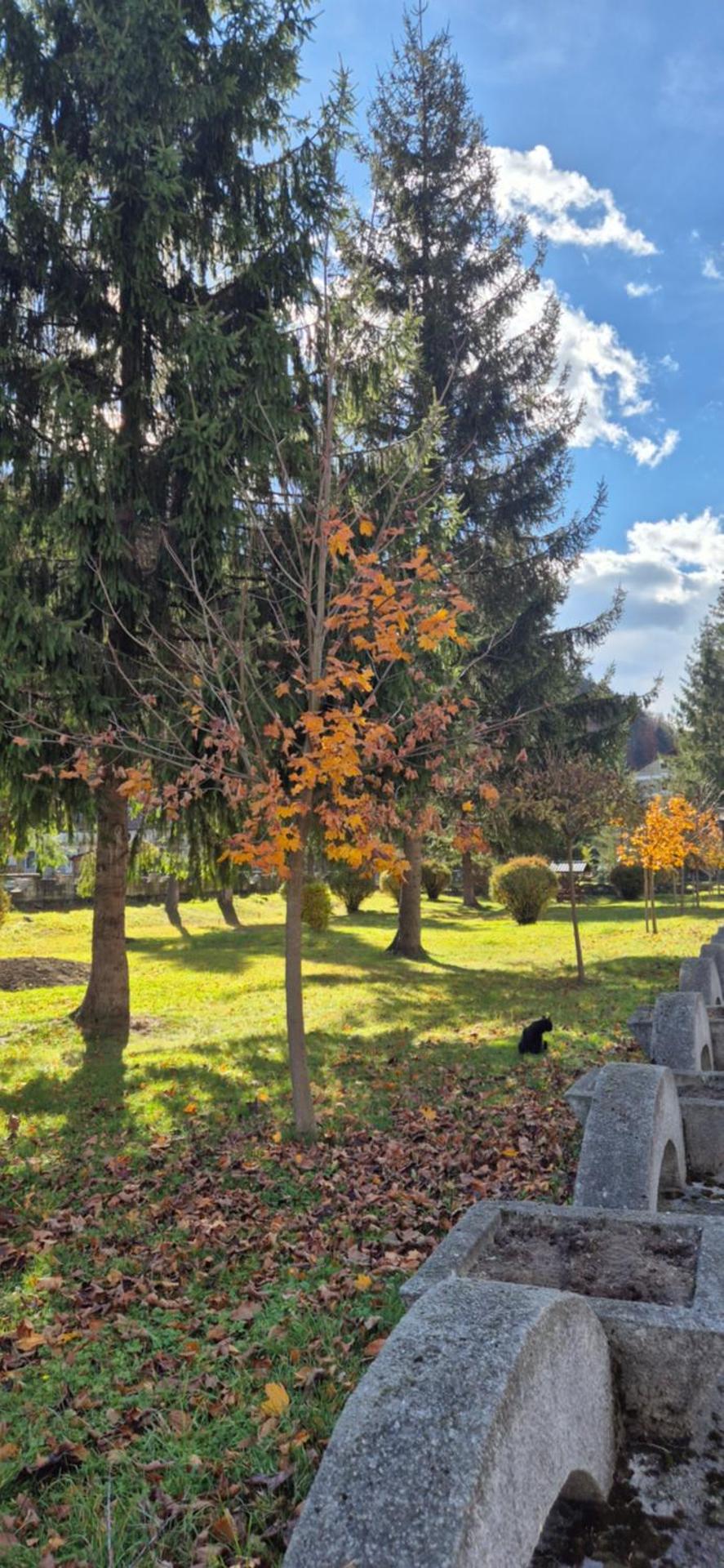 Family Residence Slănic-Moldova