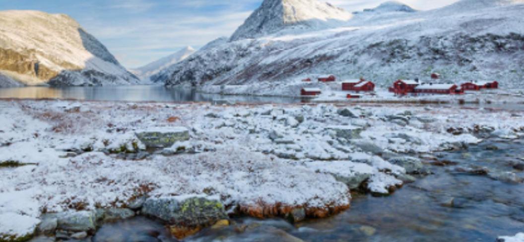 Magnhilds Luxury Apartment