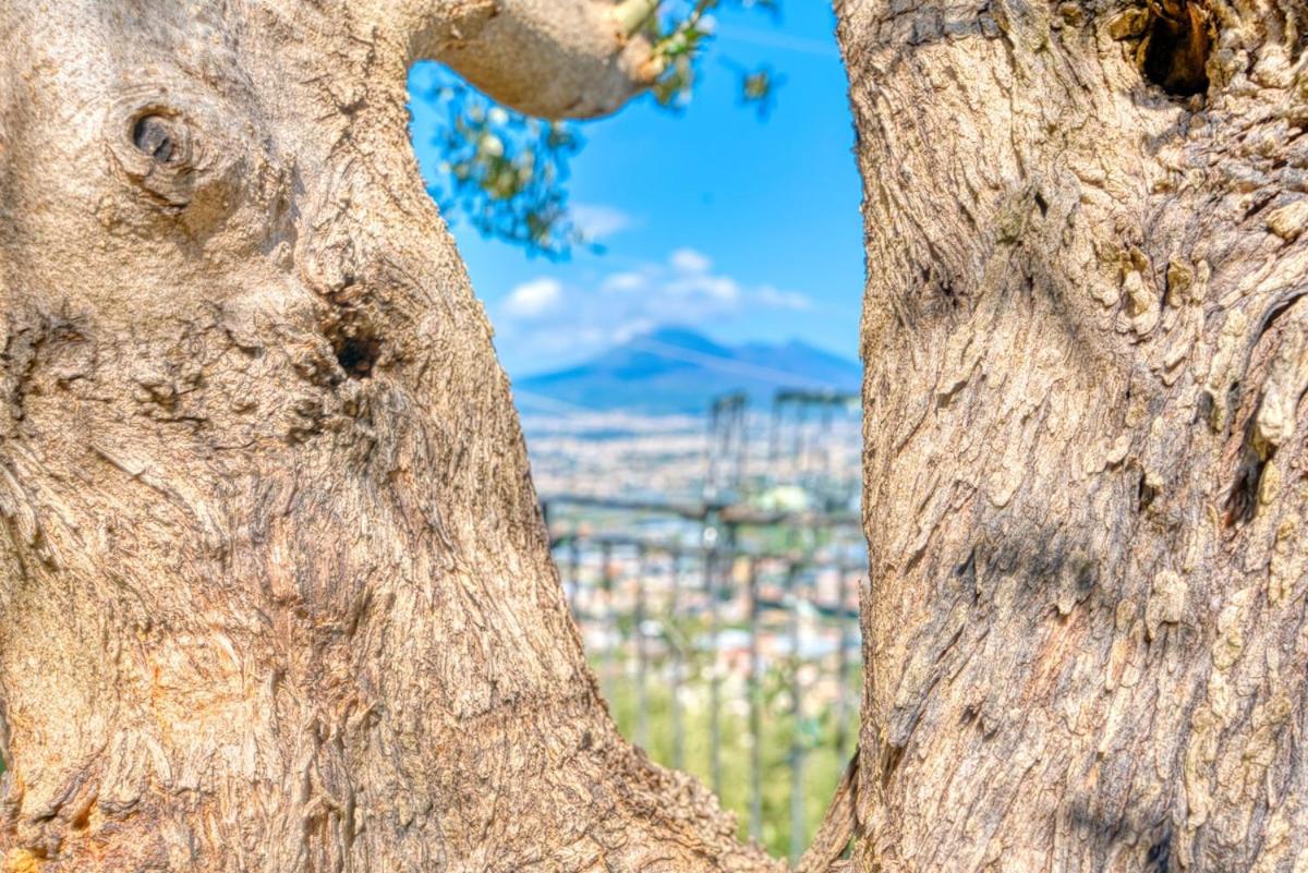 Villa Eteria Casa indipendente panoramica vicino Pompei