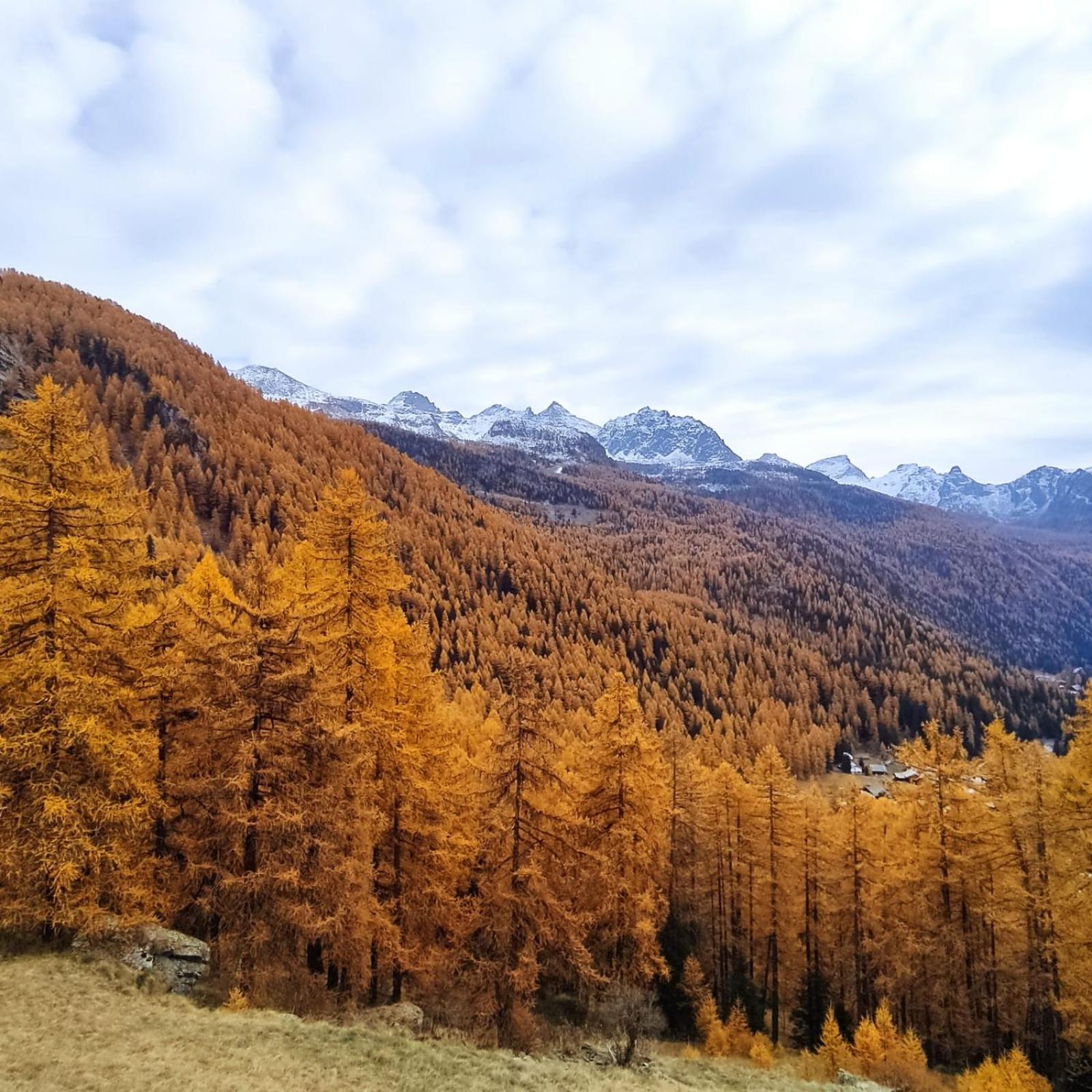 Casa Indipendente Val d'Ayas - Challand Saint Anselme