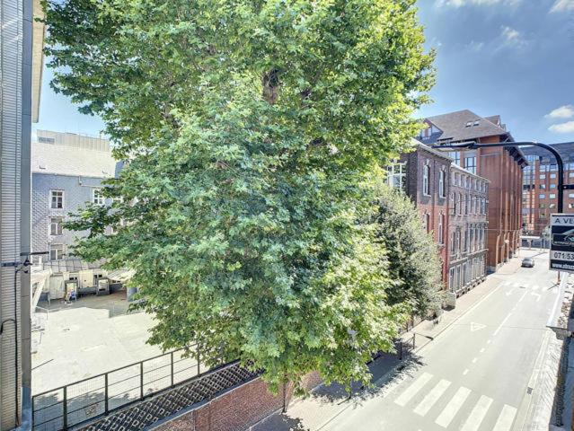 Rive Gauche F centre - gare - aéroport