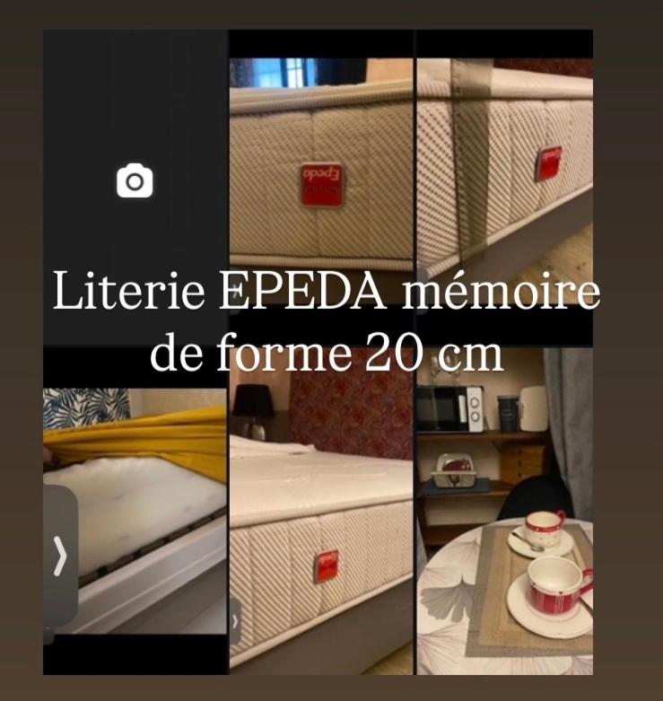 Les Lauriers Duplex centre ville avec jardin