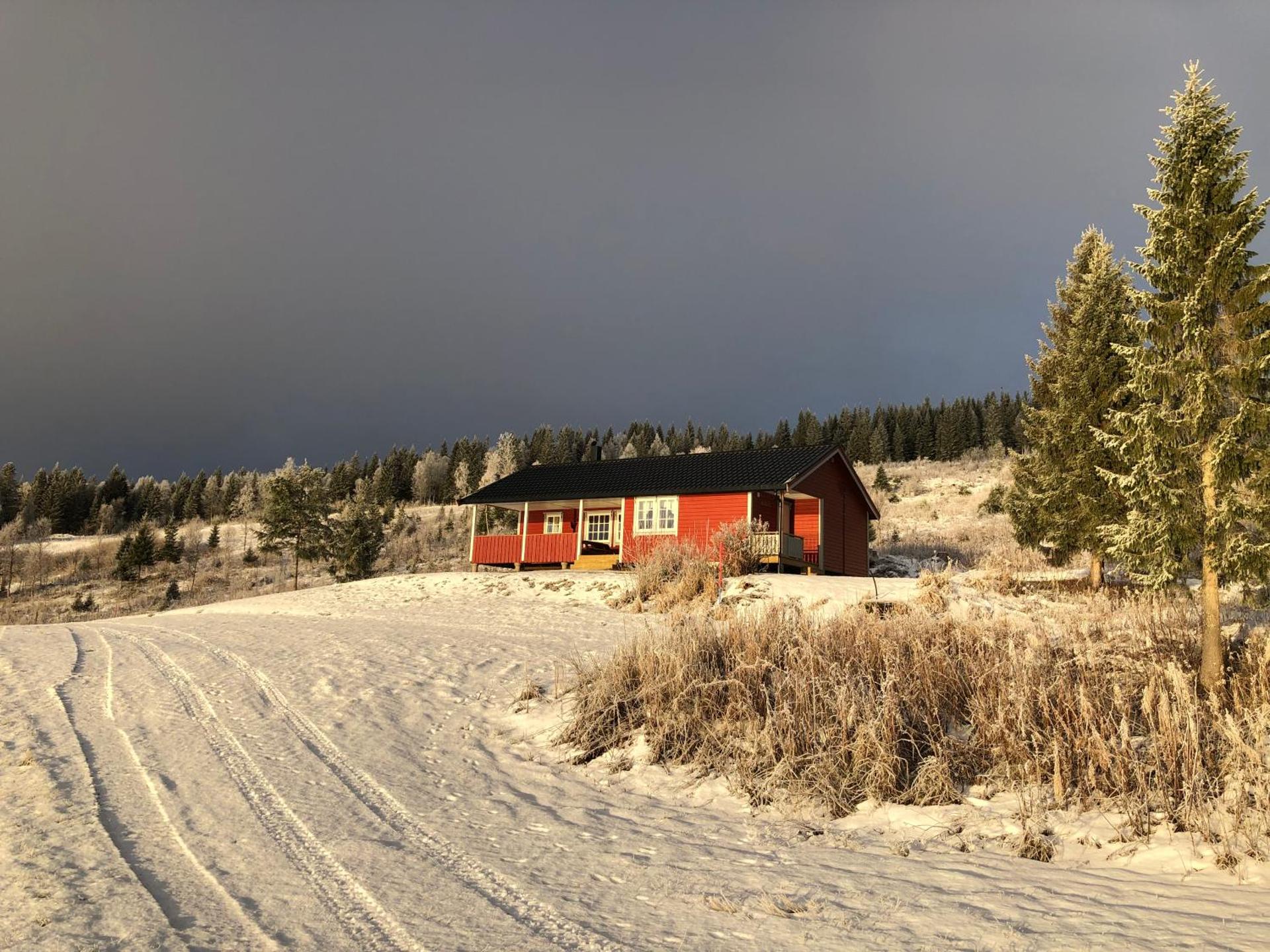 Nyrestaurert og koselig hytte ved Skjelbredvatnet.