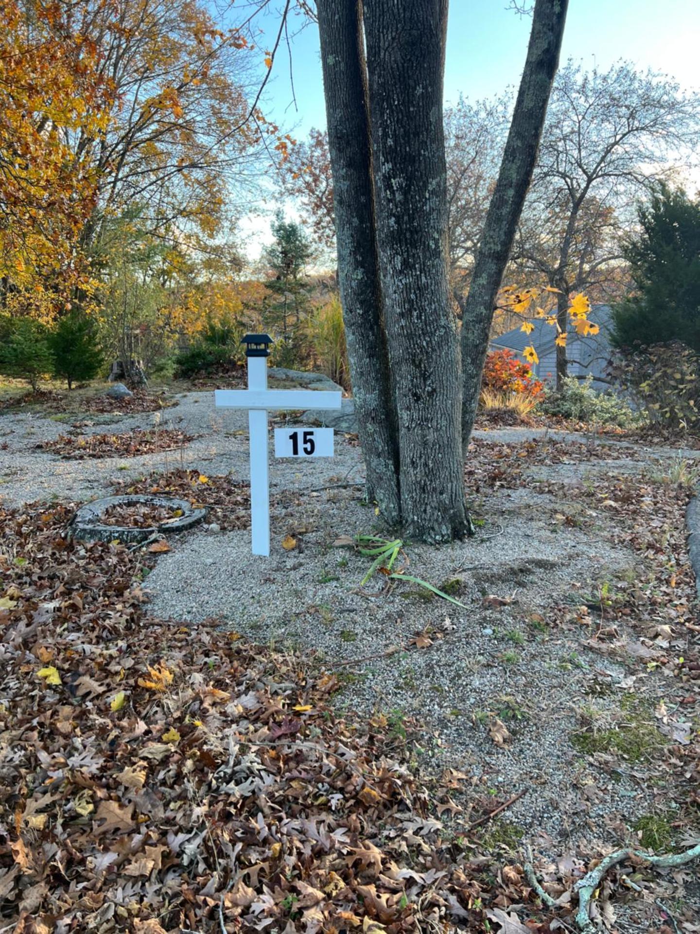 Sunny river view suite