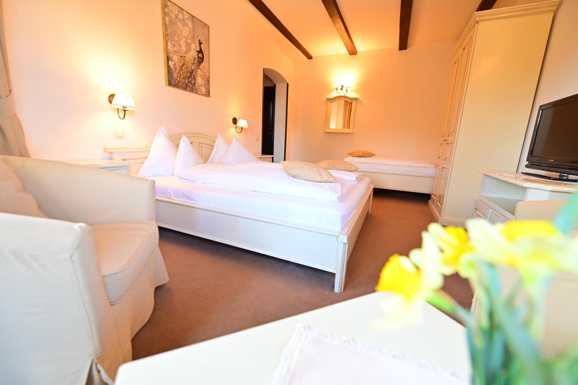 Triple Room with Terrace