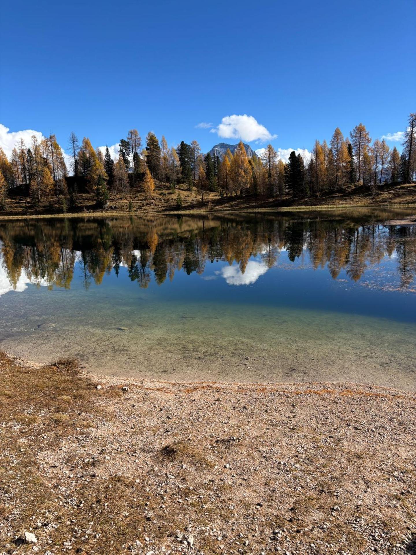 Appartamento Vale e Schena Cortina D'Ampezzo