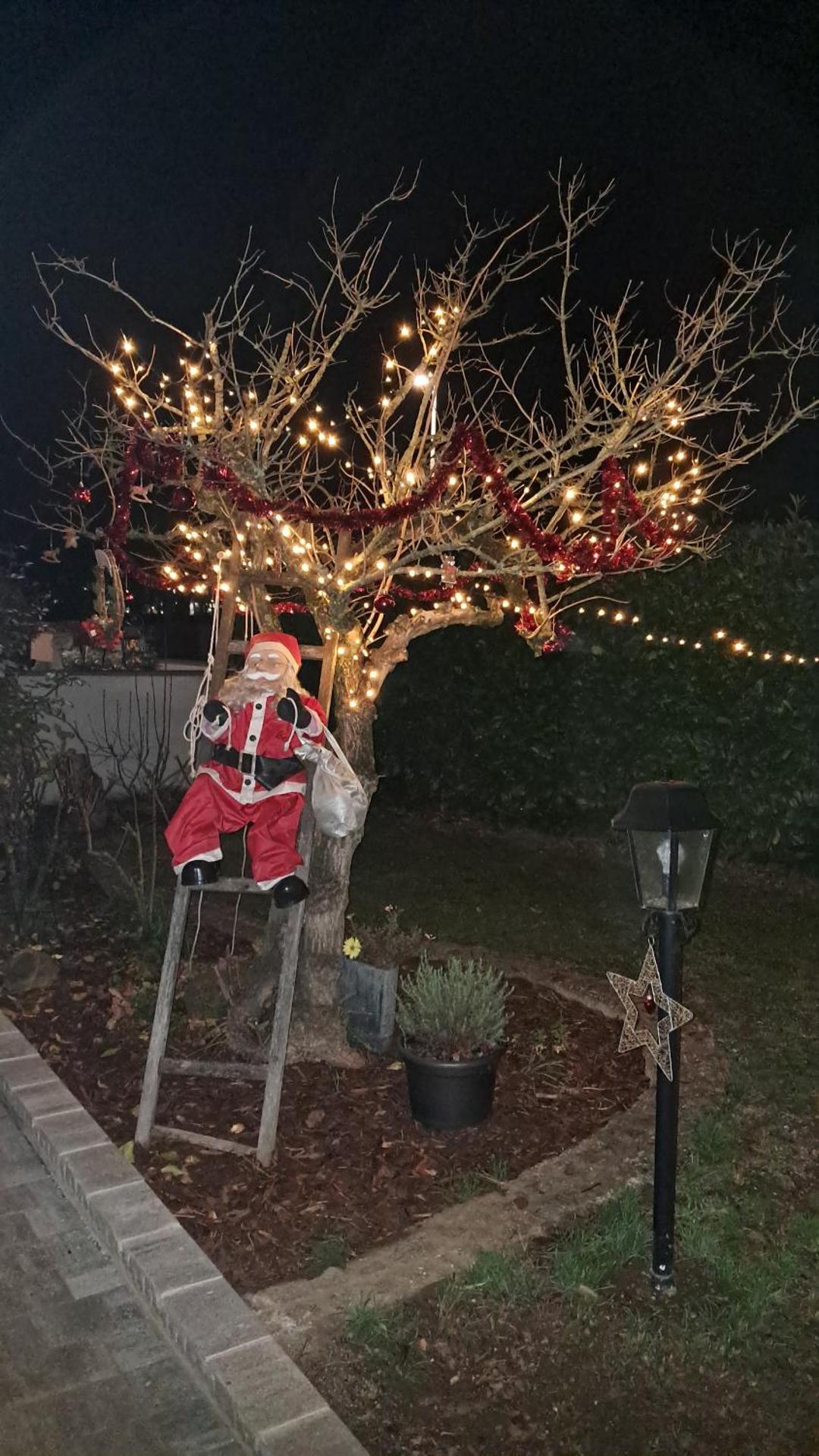 60 m² Ferienapartment Zentrumsnahe mit Gartenbenutzung