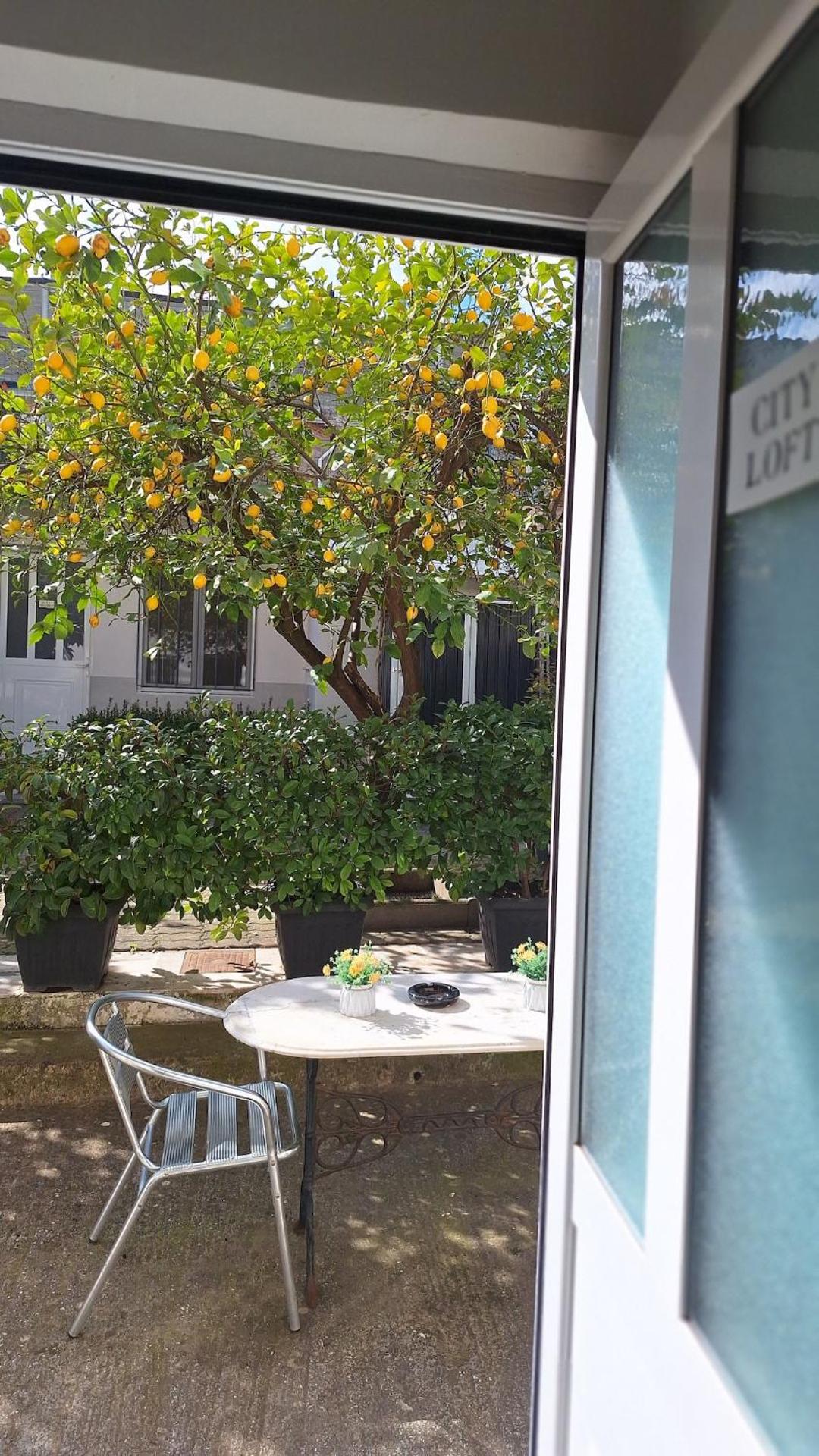 City Loft