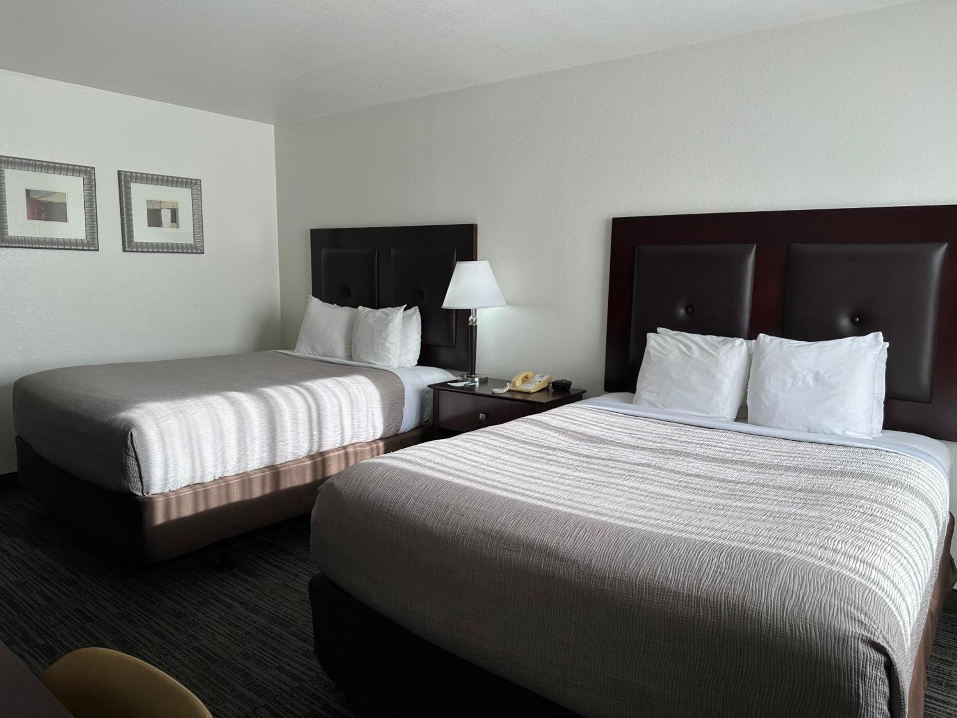 Room with One King Bed and Two Queen Beds - Non-Smoking