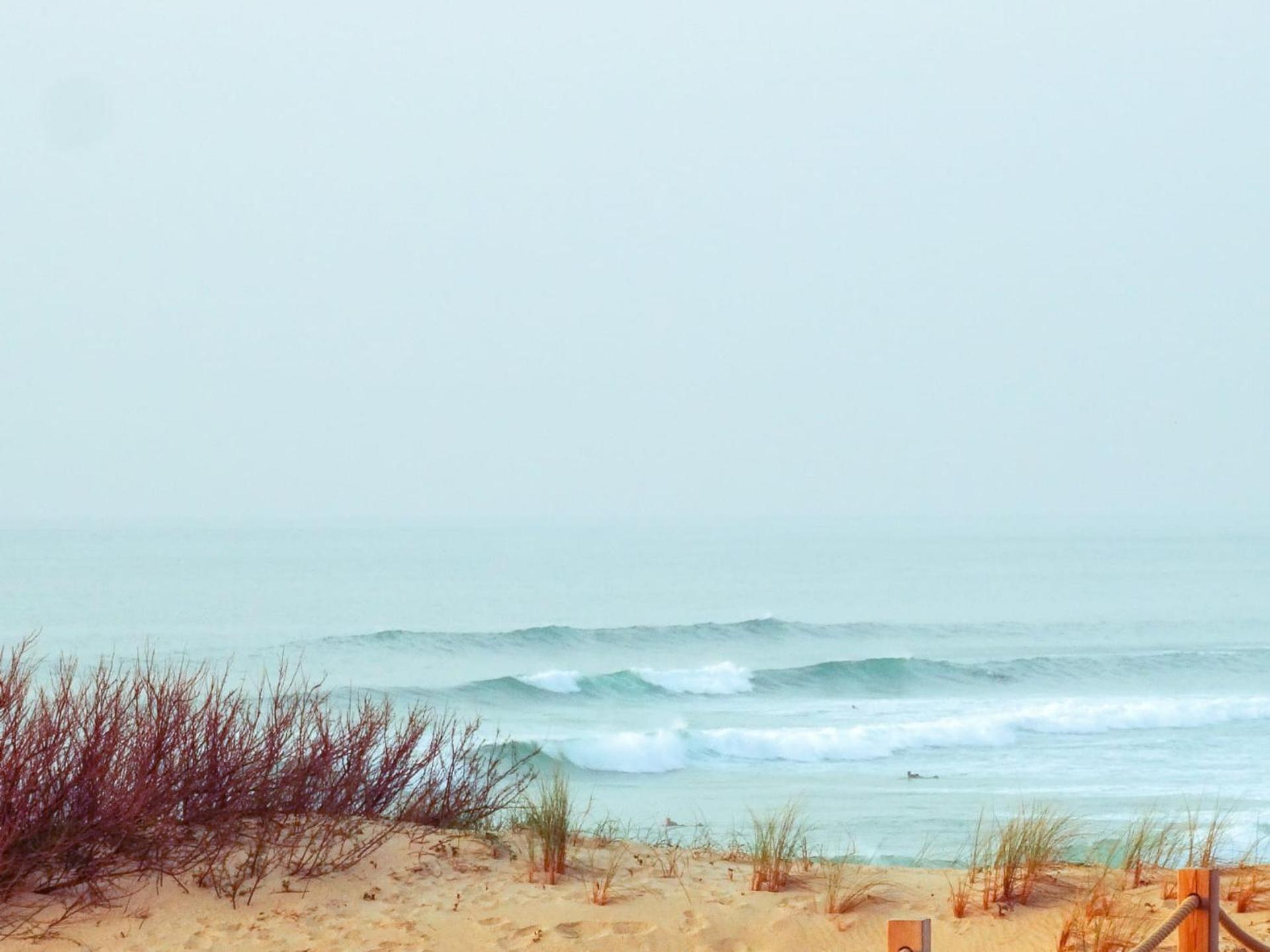 Studio rénové Seignosse, à 2 min de la plage, balcon sud, proche commerces et parc aquatique - FR-1-239-871