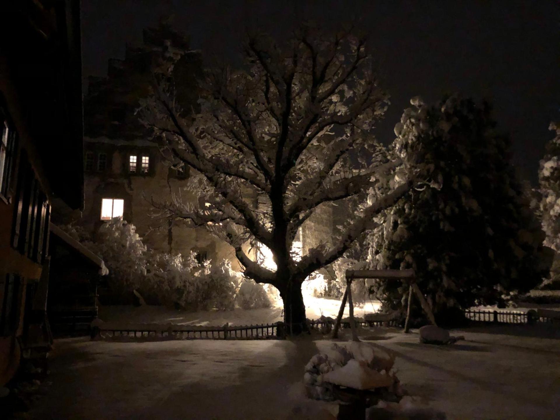 Urlaub in der Burg am Bodensee