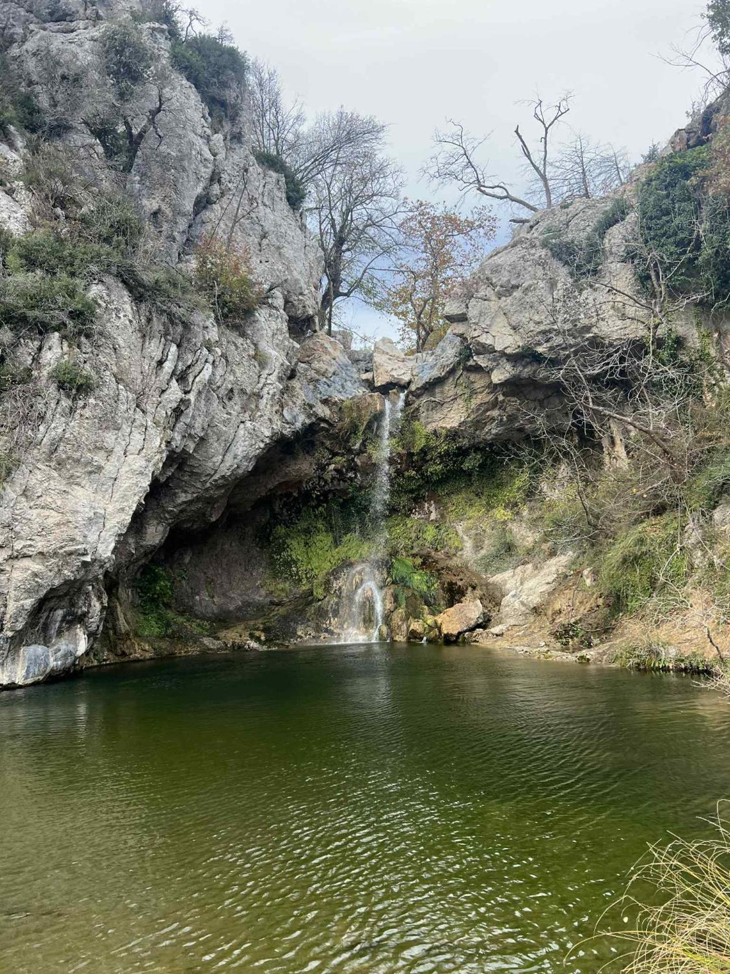 Elegant Dream Suites