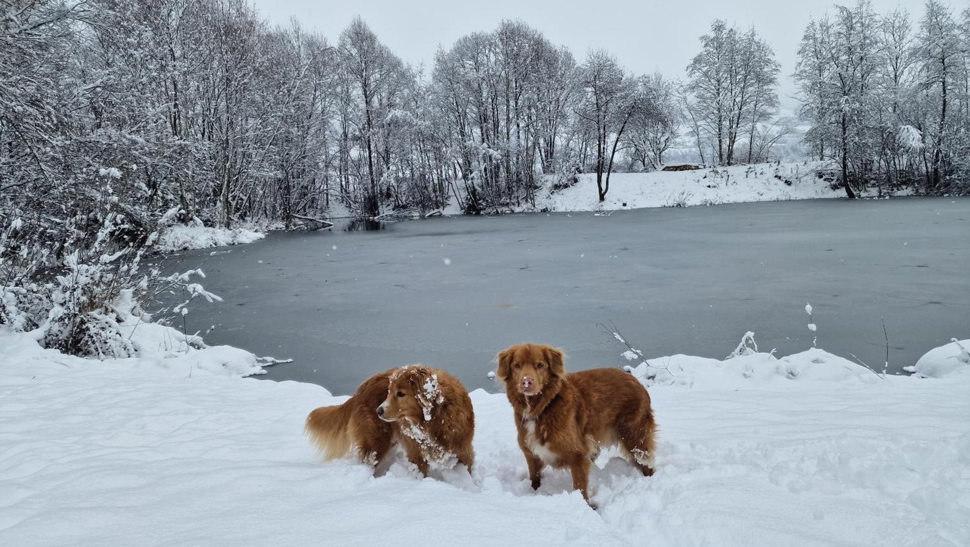 Chalet am Park with Hottub