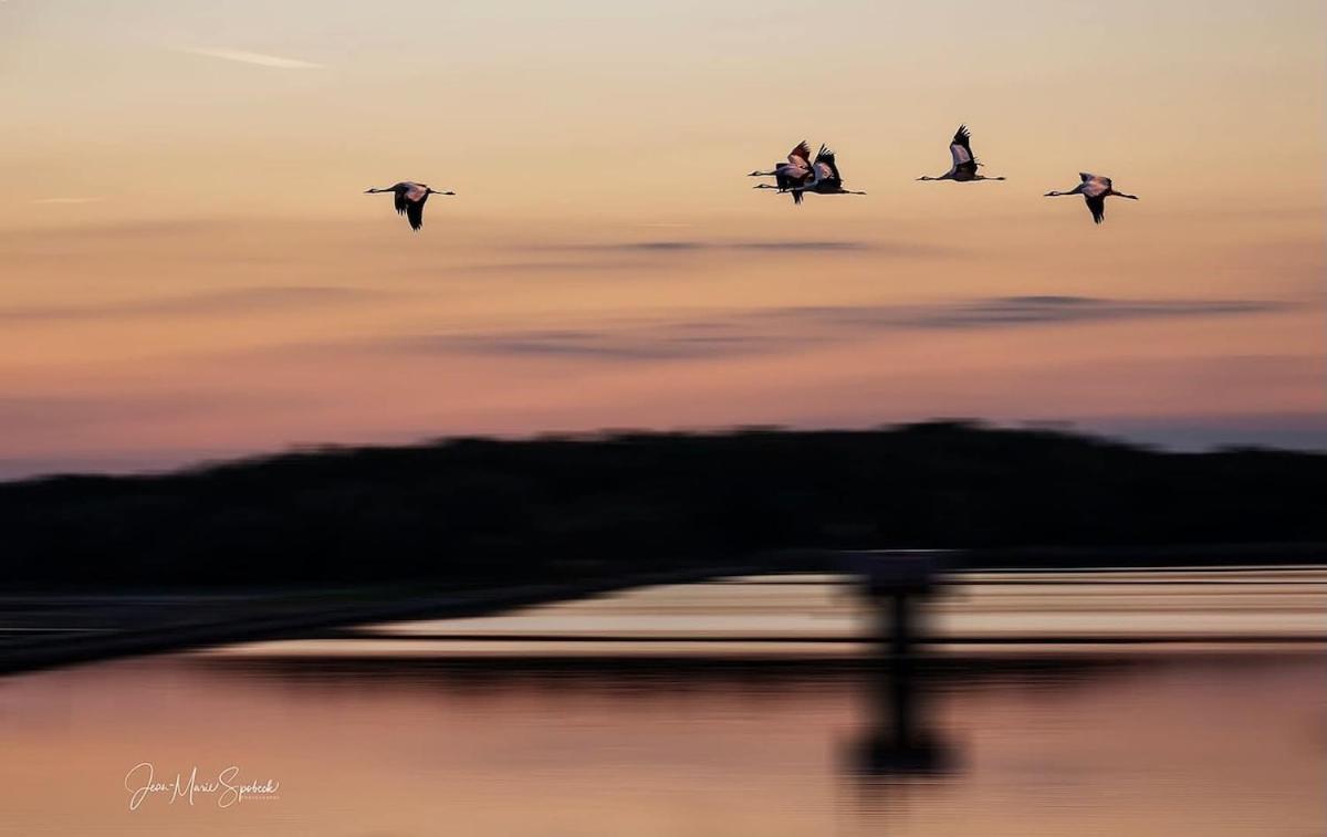 Chalet Lac du Der Giffaumont-Champaubert