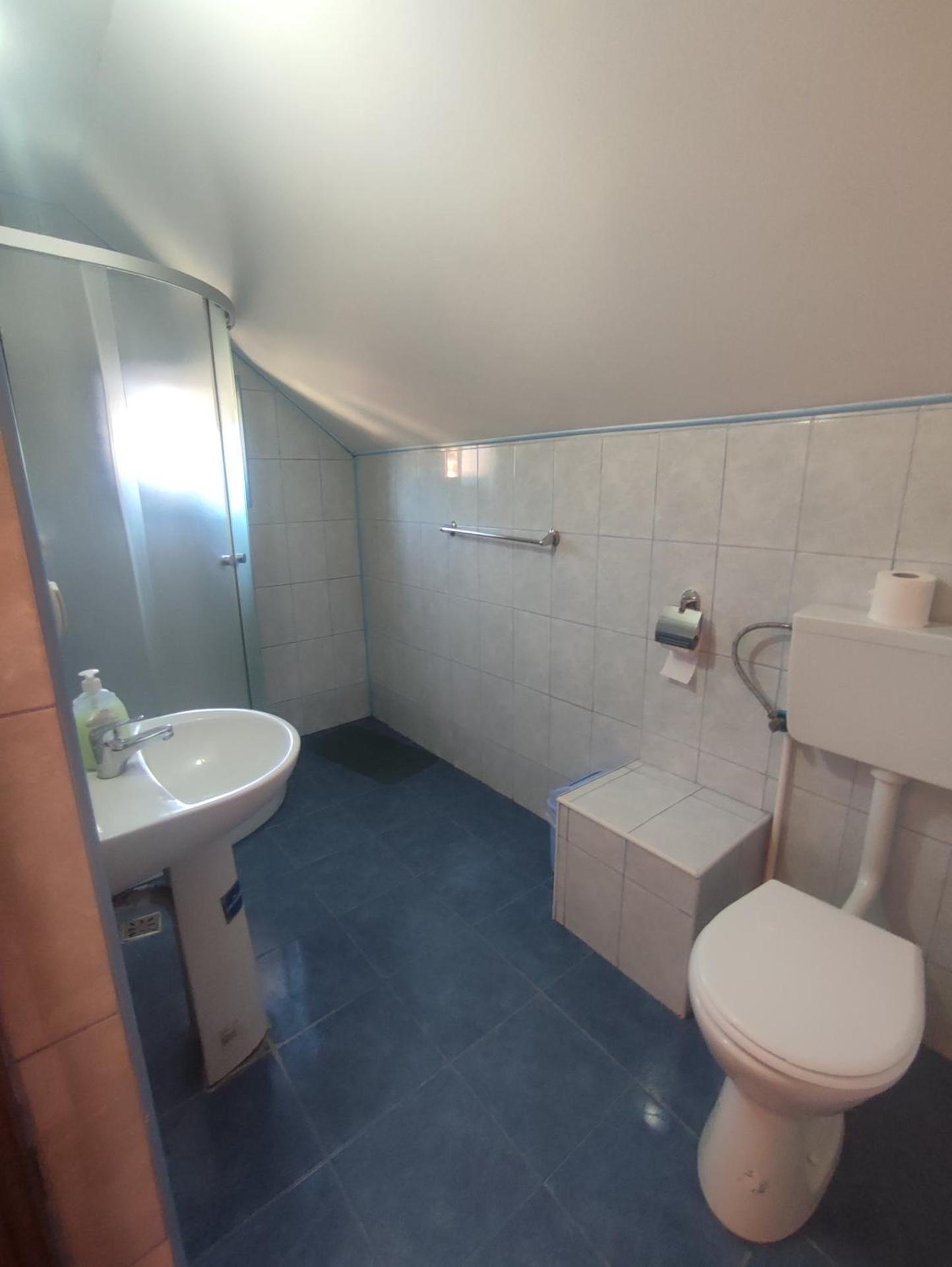 Edelweis Floare de Colt