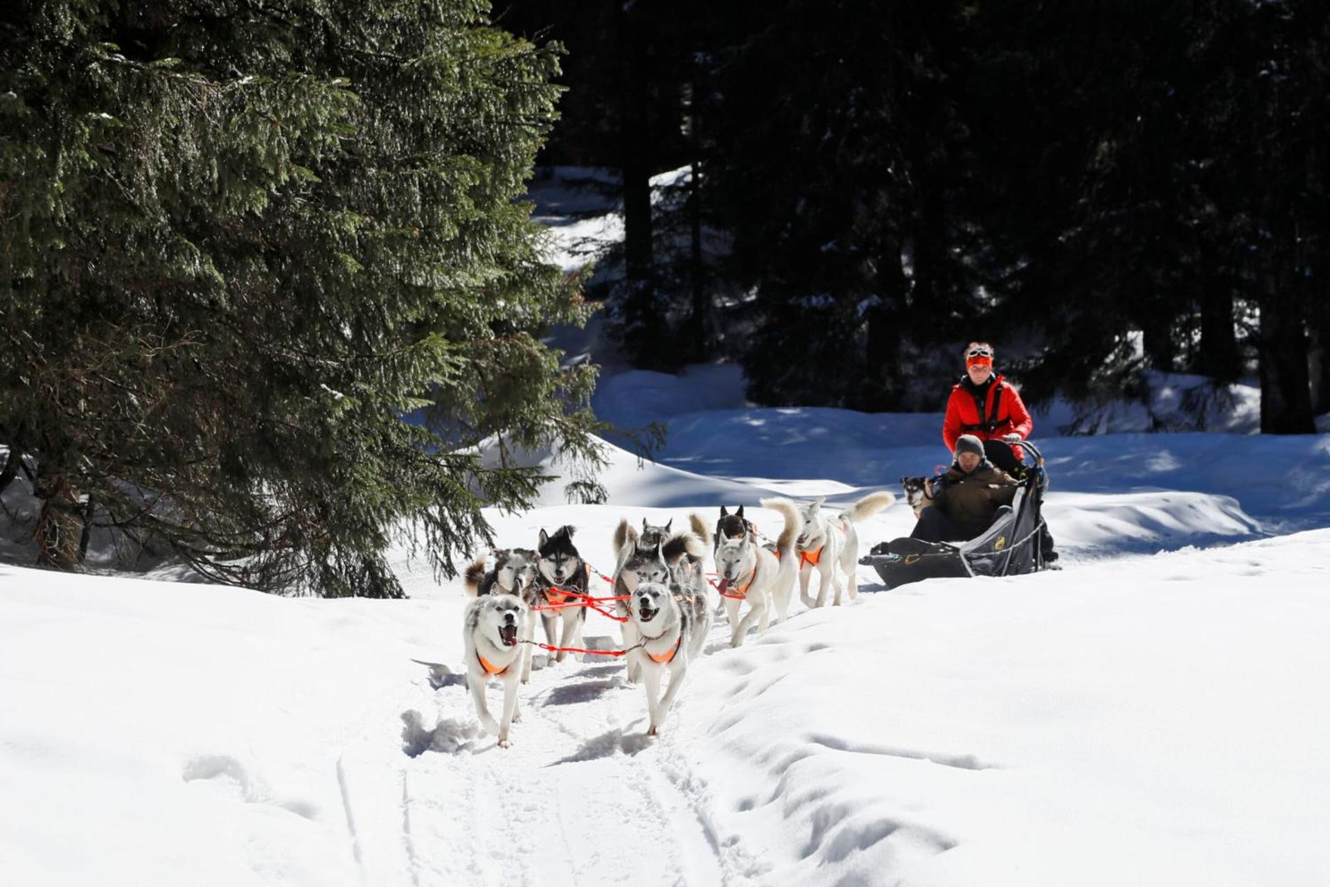 Appartement familial au Revard Vue imprenable et accès direct aux pistes