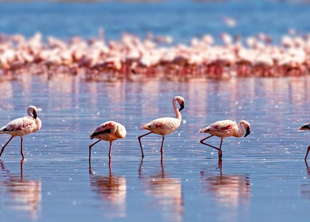 Extraordinaire face aux Arènes