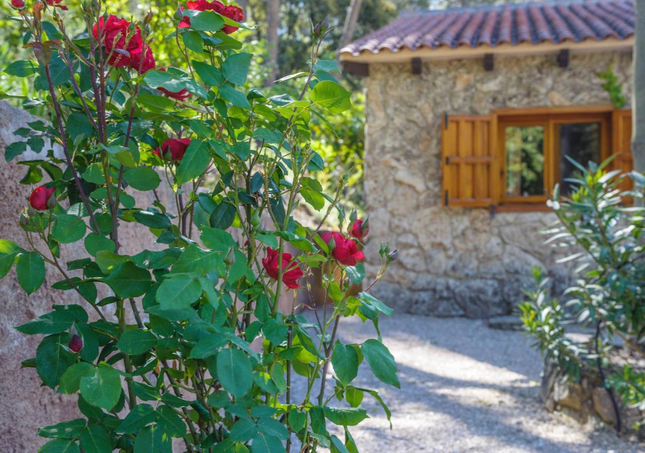 Casas rurales Batan Rio Tus