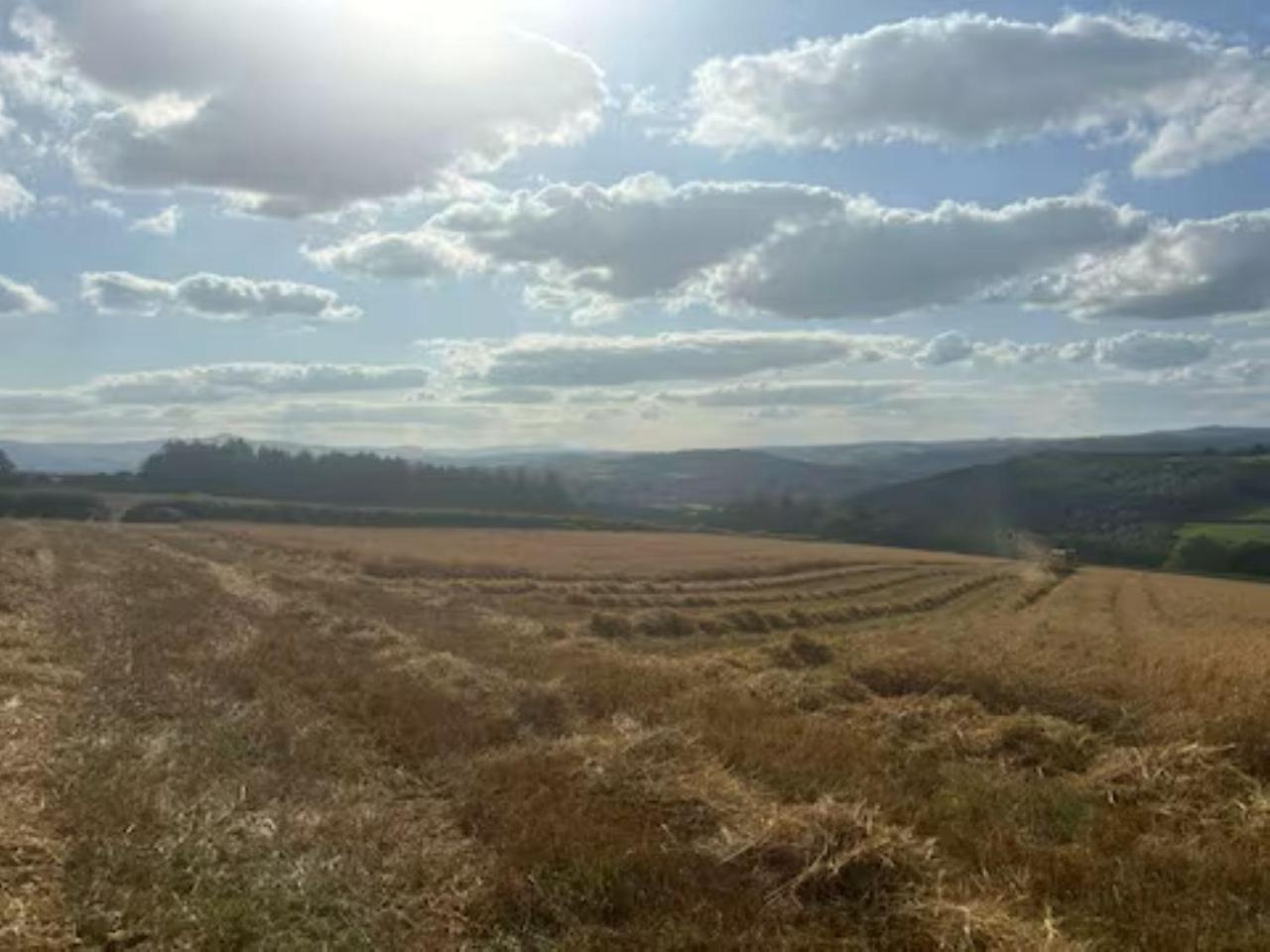 The Cottage at Sychnant Farm