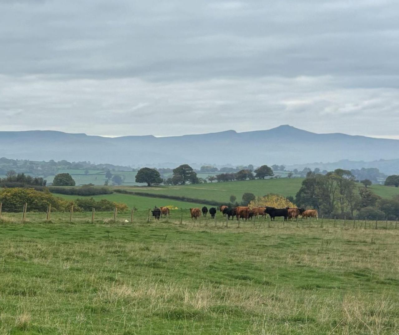The Cottage at Sychnant Farm