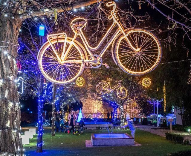 Villa Madison, Spacious Sea View Apartments Near Zadar Advent and Winter Activities