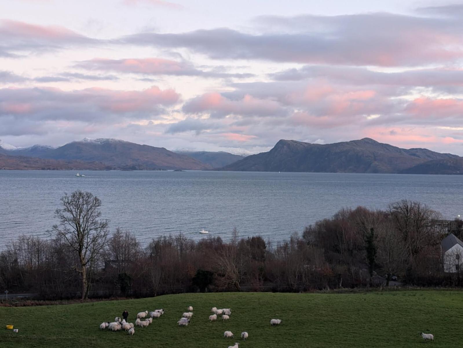 View (from property/room)