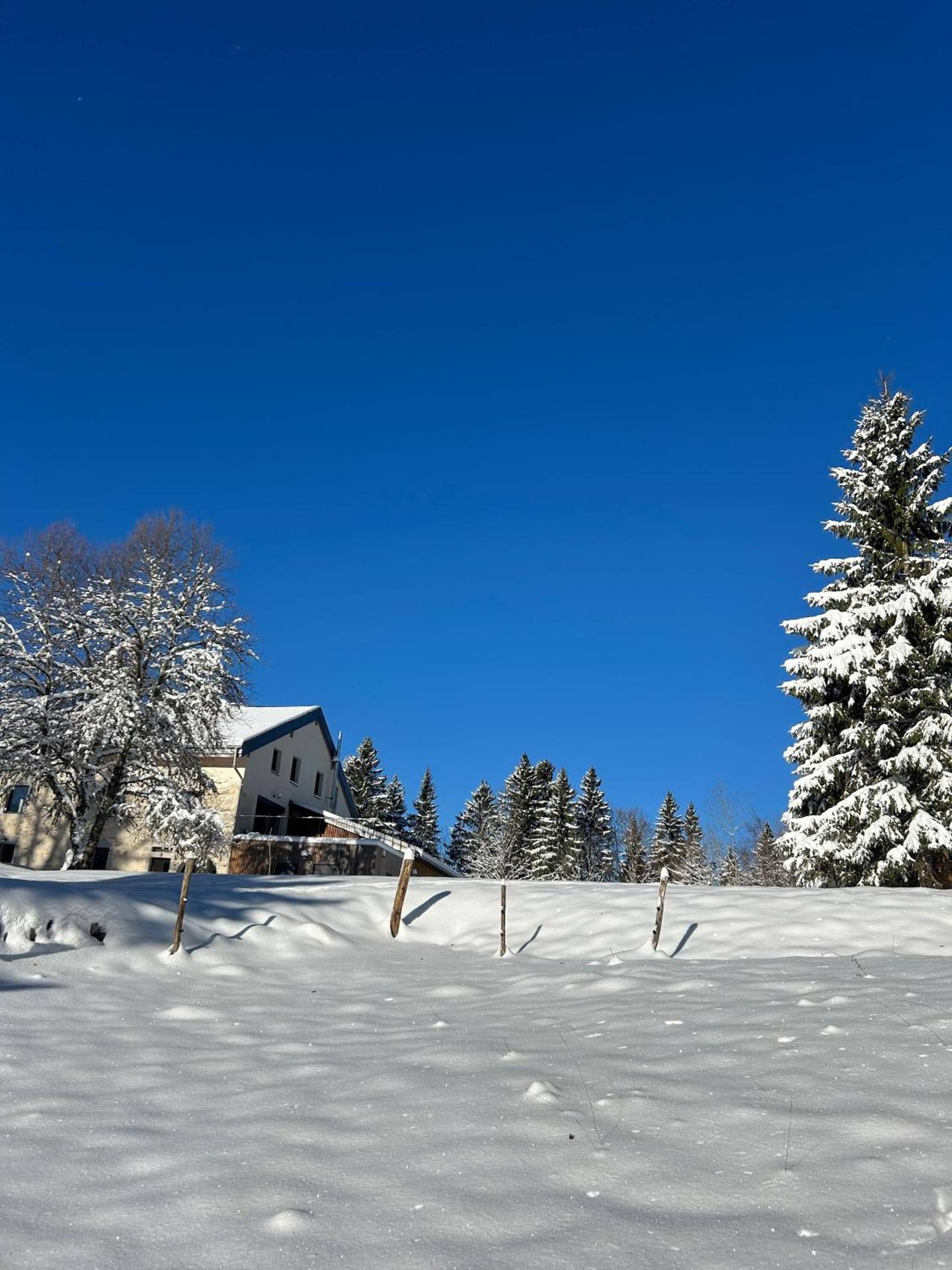Gîte de prestige en pleine nature
