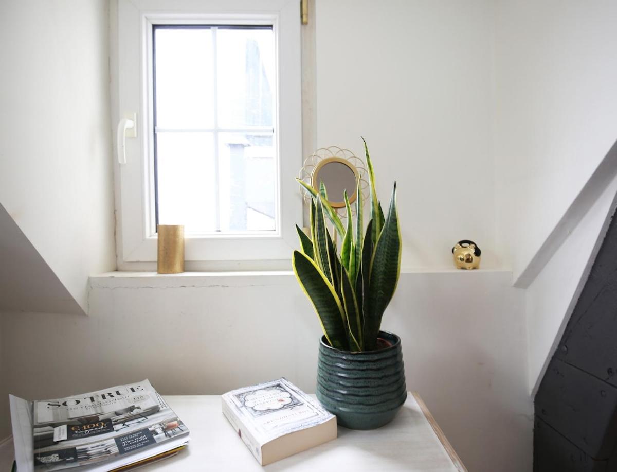 Appartementen Purmerend B