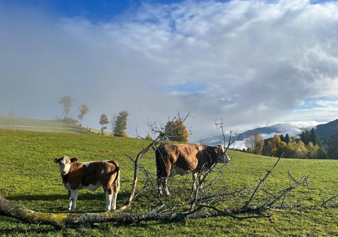 Hirzhof SO Bike&Ski Ridehaus Ski In Ski Out
